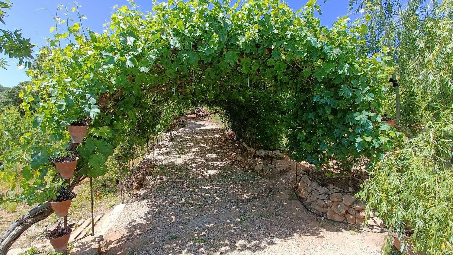 Casa en Venta en Alcalá la Real