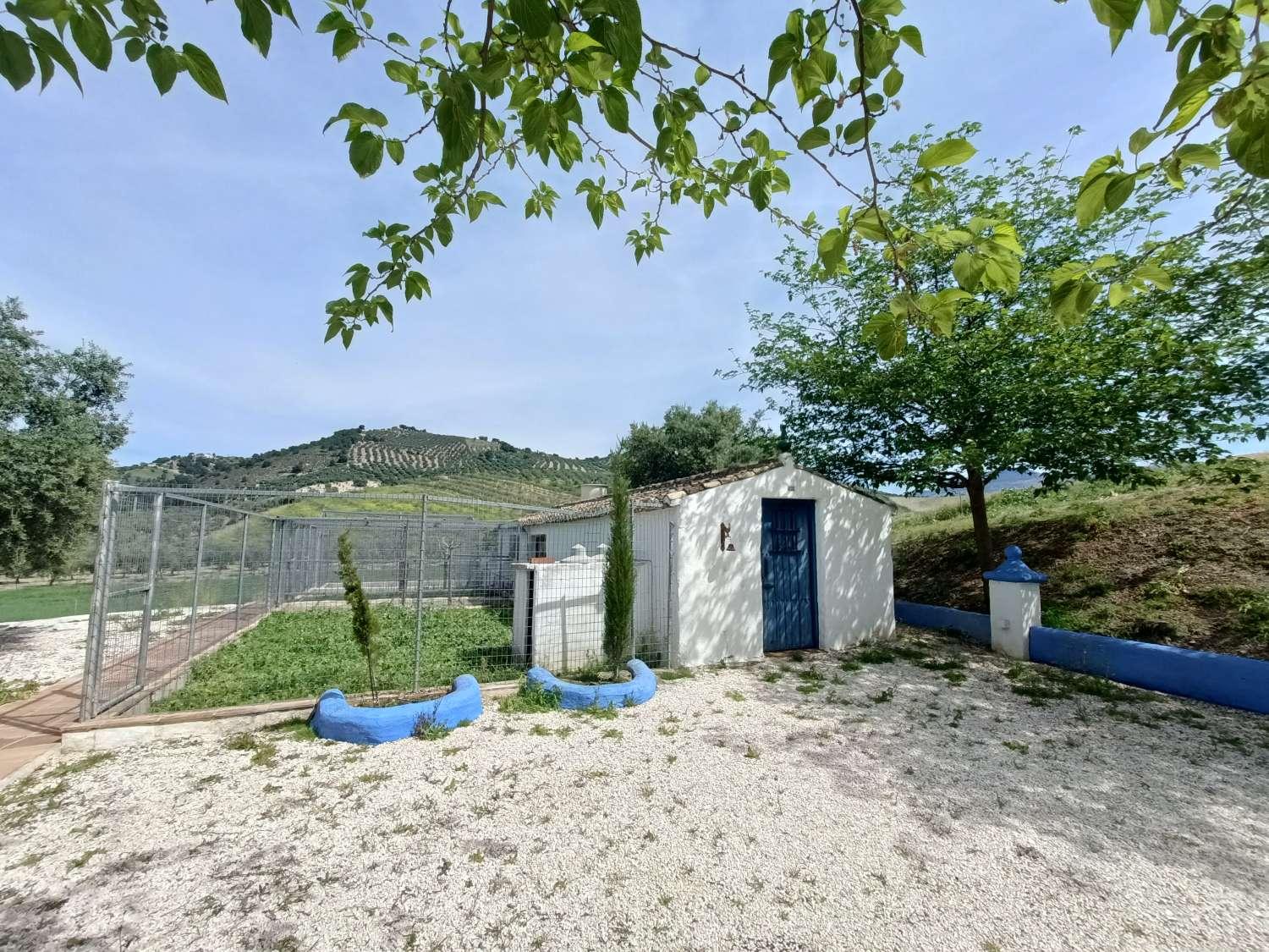 Casa en Venta en Villanueva Mesía