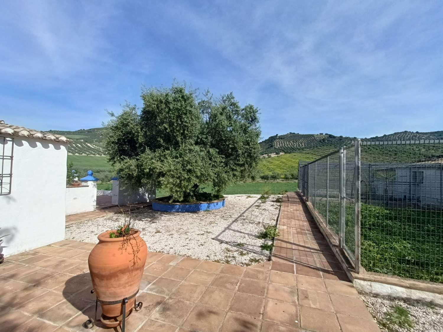 Casa en Venta en Villanueva Mesía