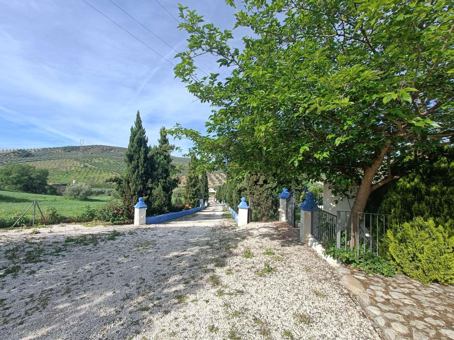 Casa en Venta en Villanueva Mesía