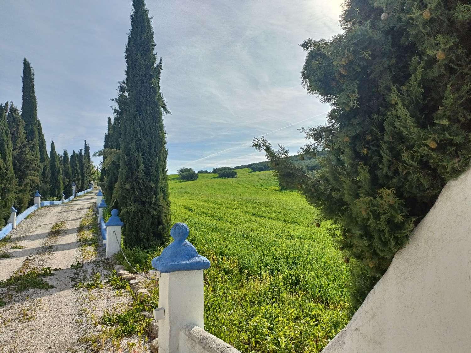 Casa en Venta en Villanueva Mesía