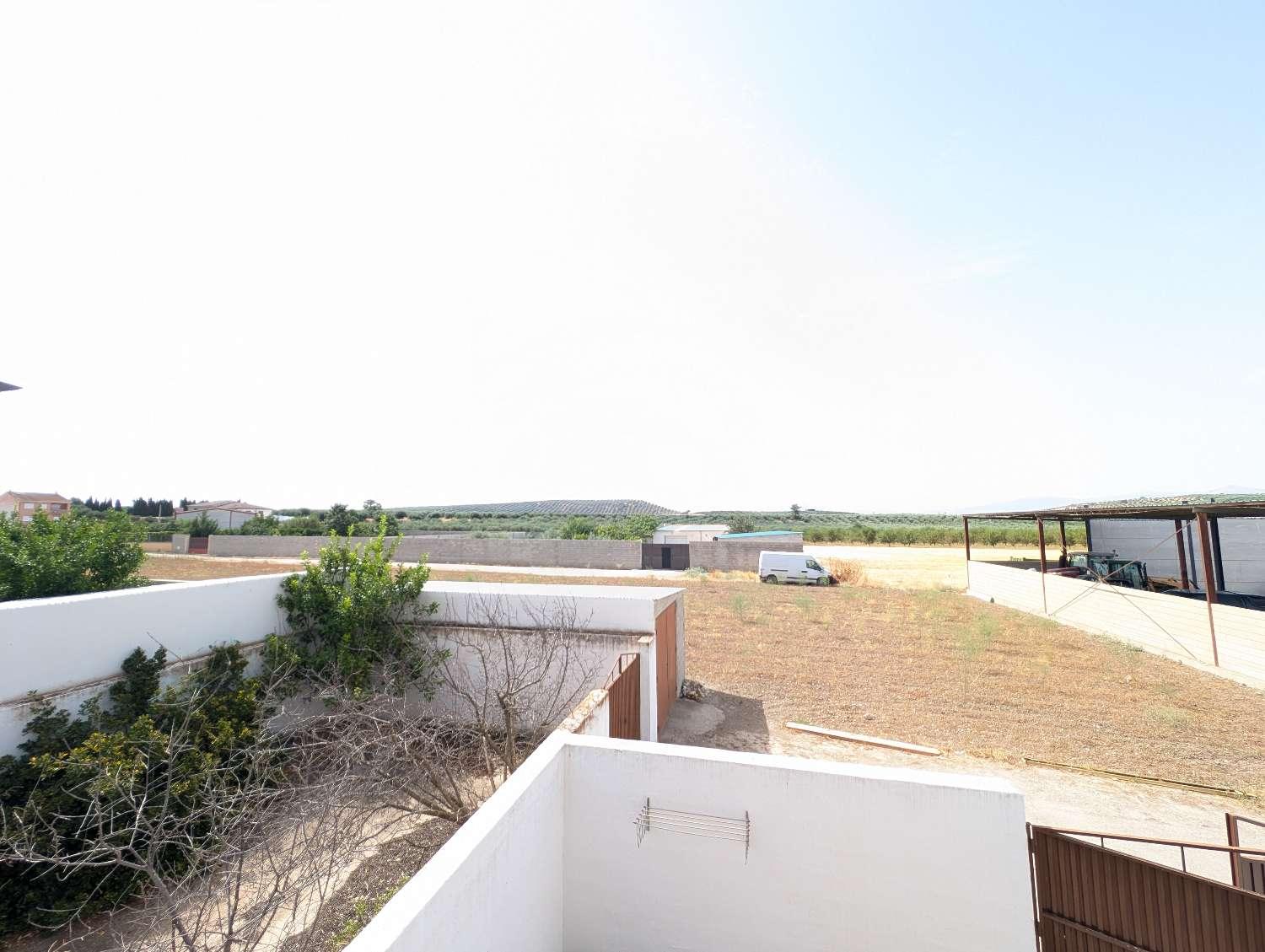 House for Sale in Íllora