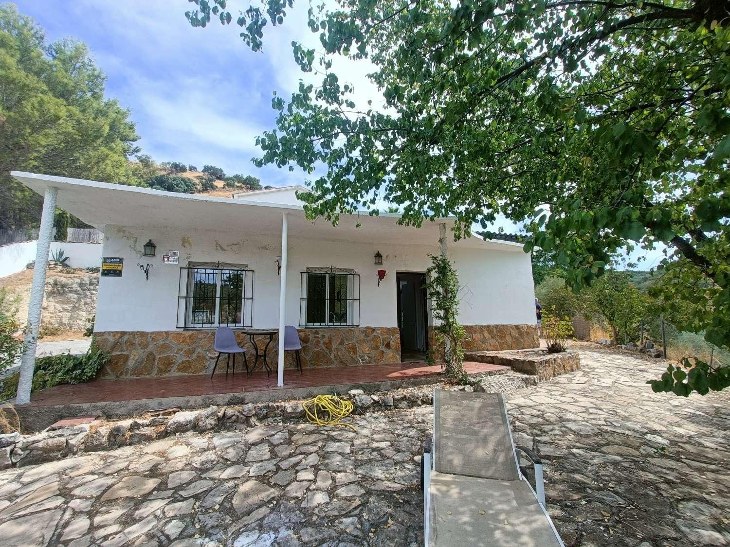 House for Sale in Montefrío