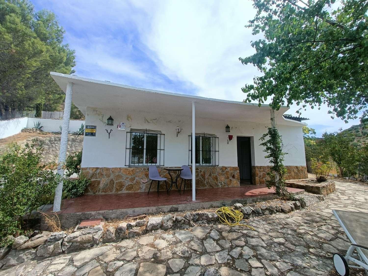House for Sale in Montefrío
