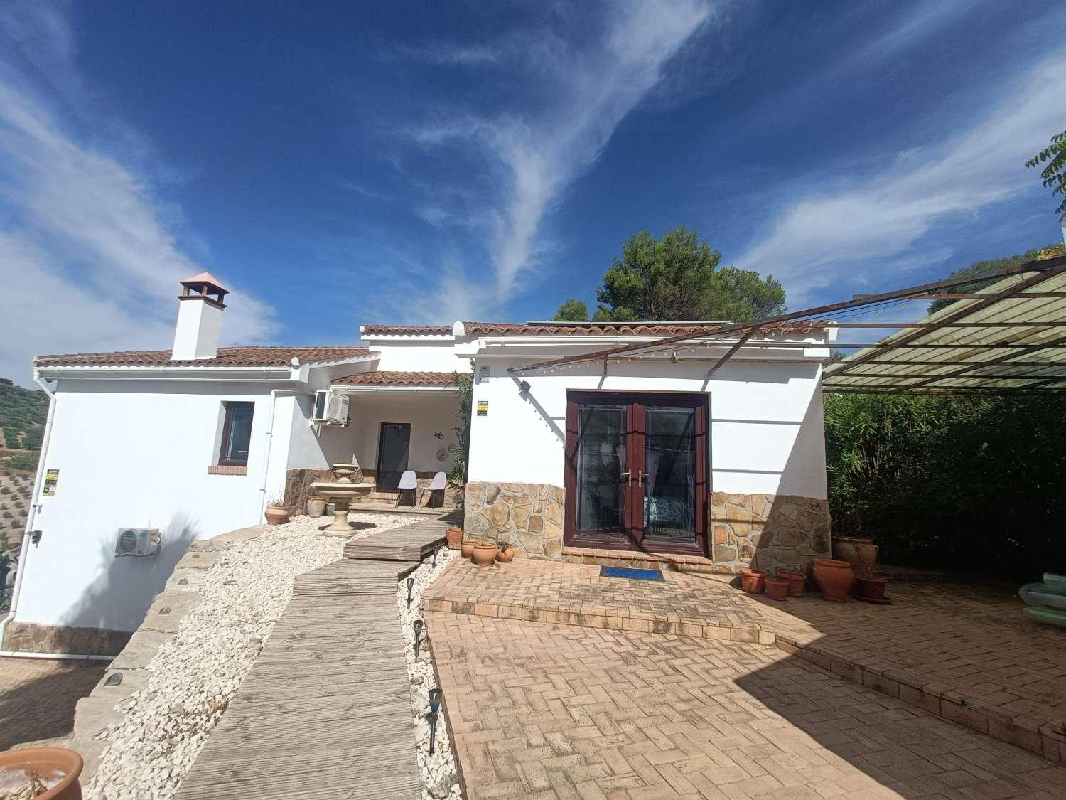 House for Sale in Montefrío