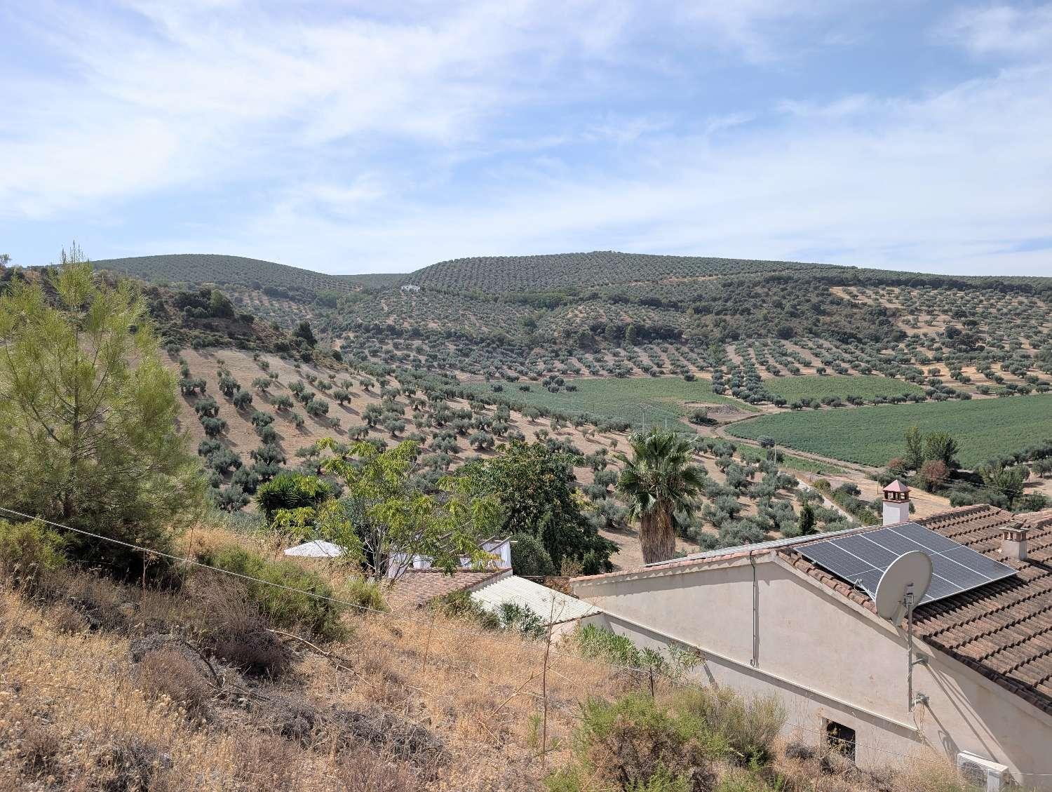 House for Sale in Montefrío