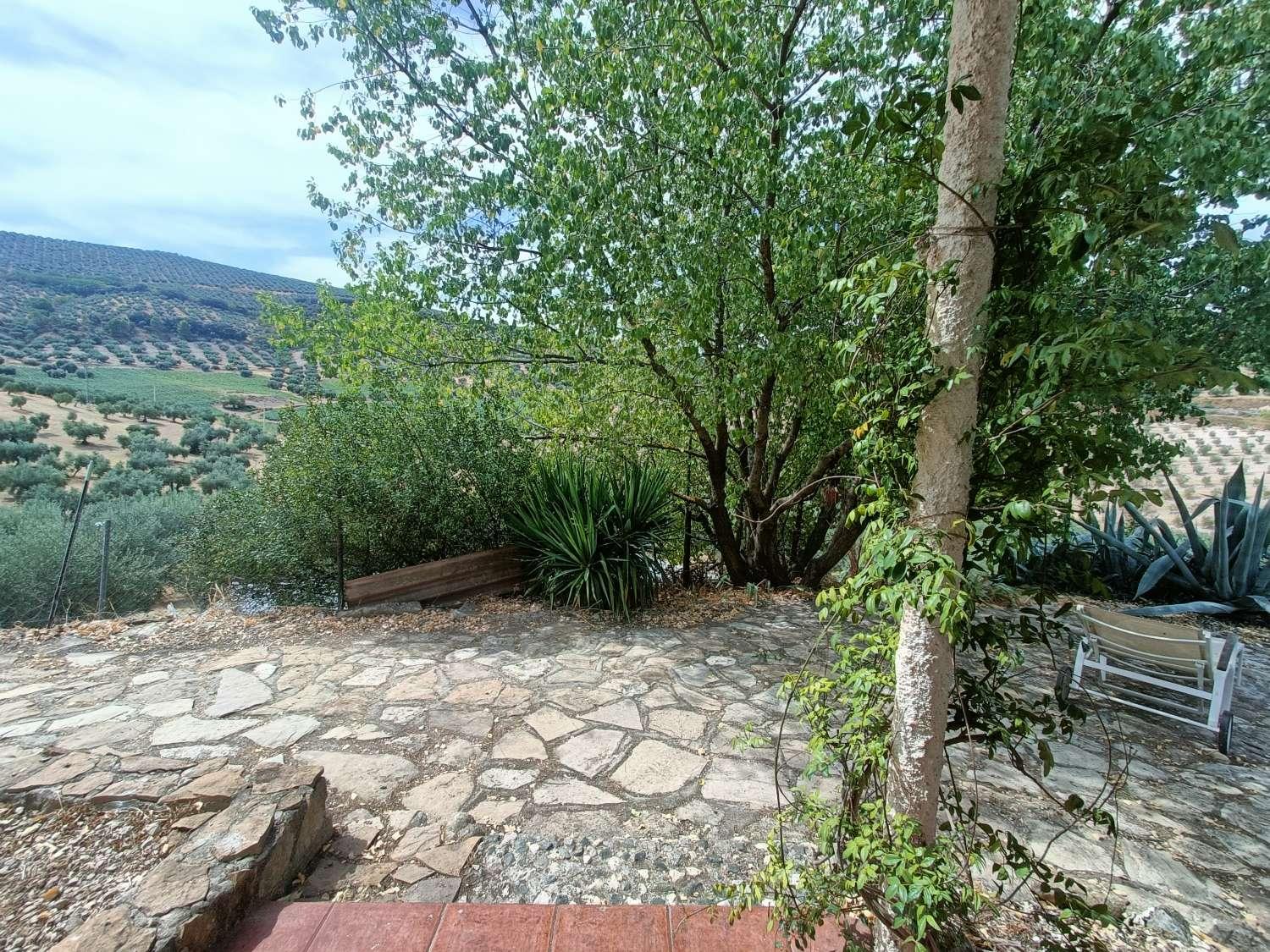 House for Sale in Montefrío