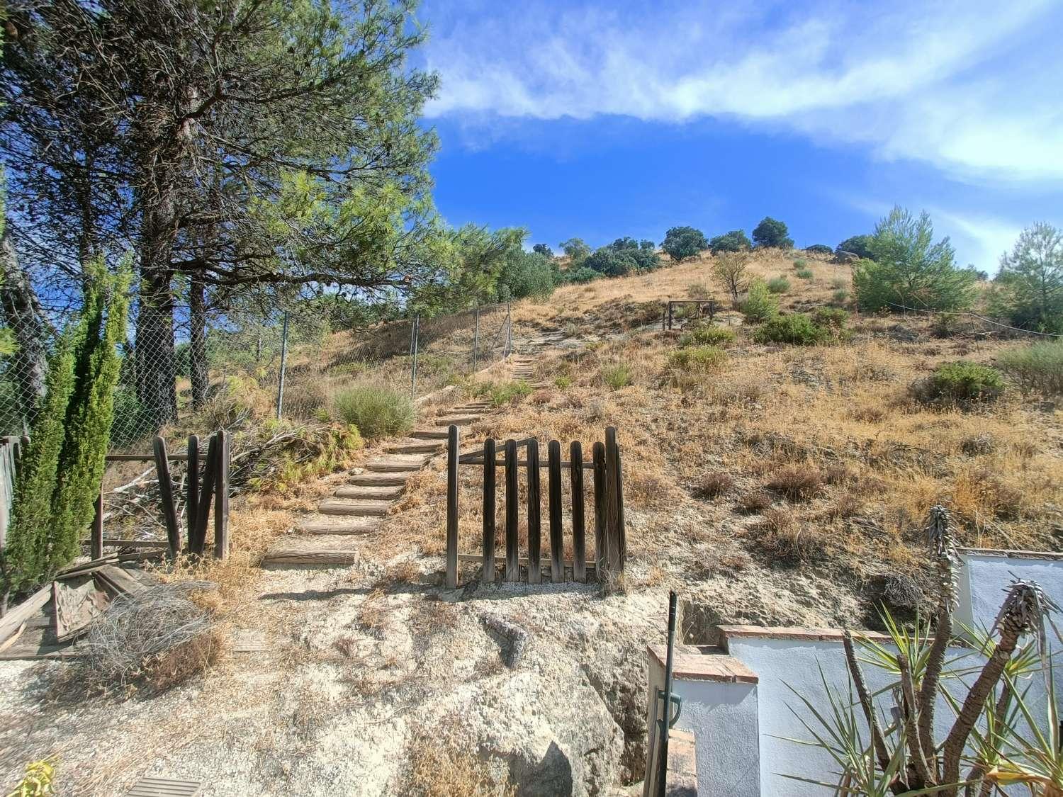 House for Sale in Montefrío