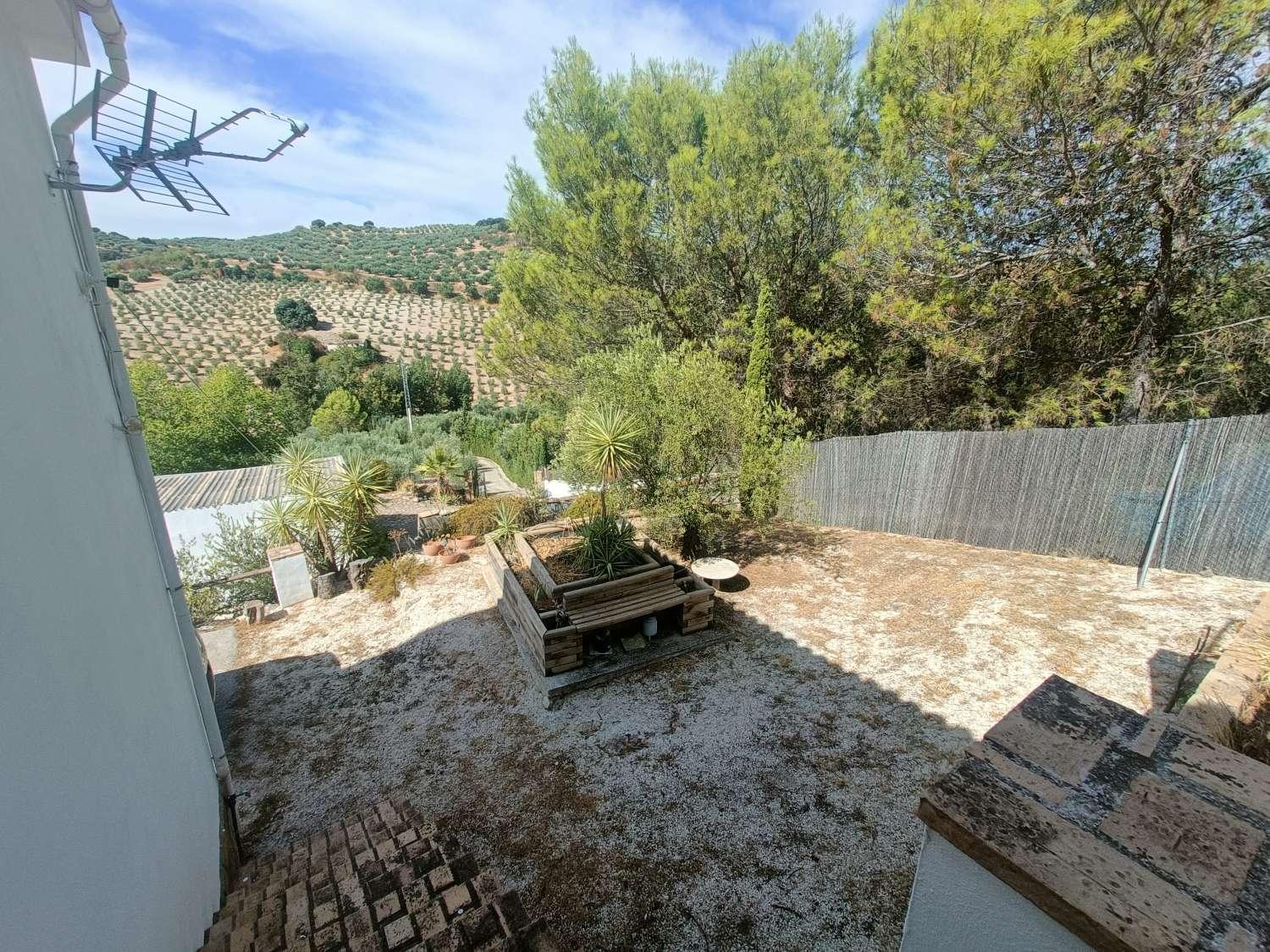 House for Sale in Montefrío