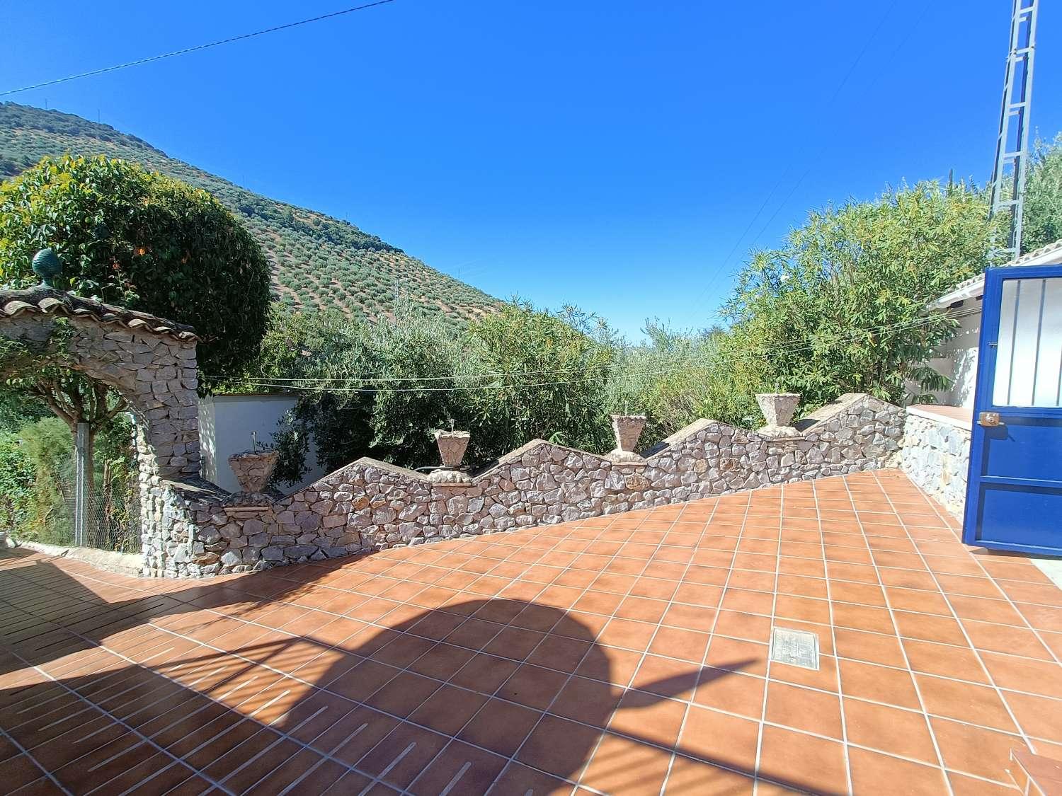 House for Sale in Algarinejo