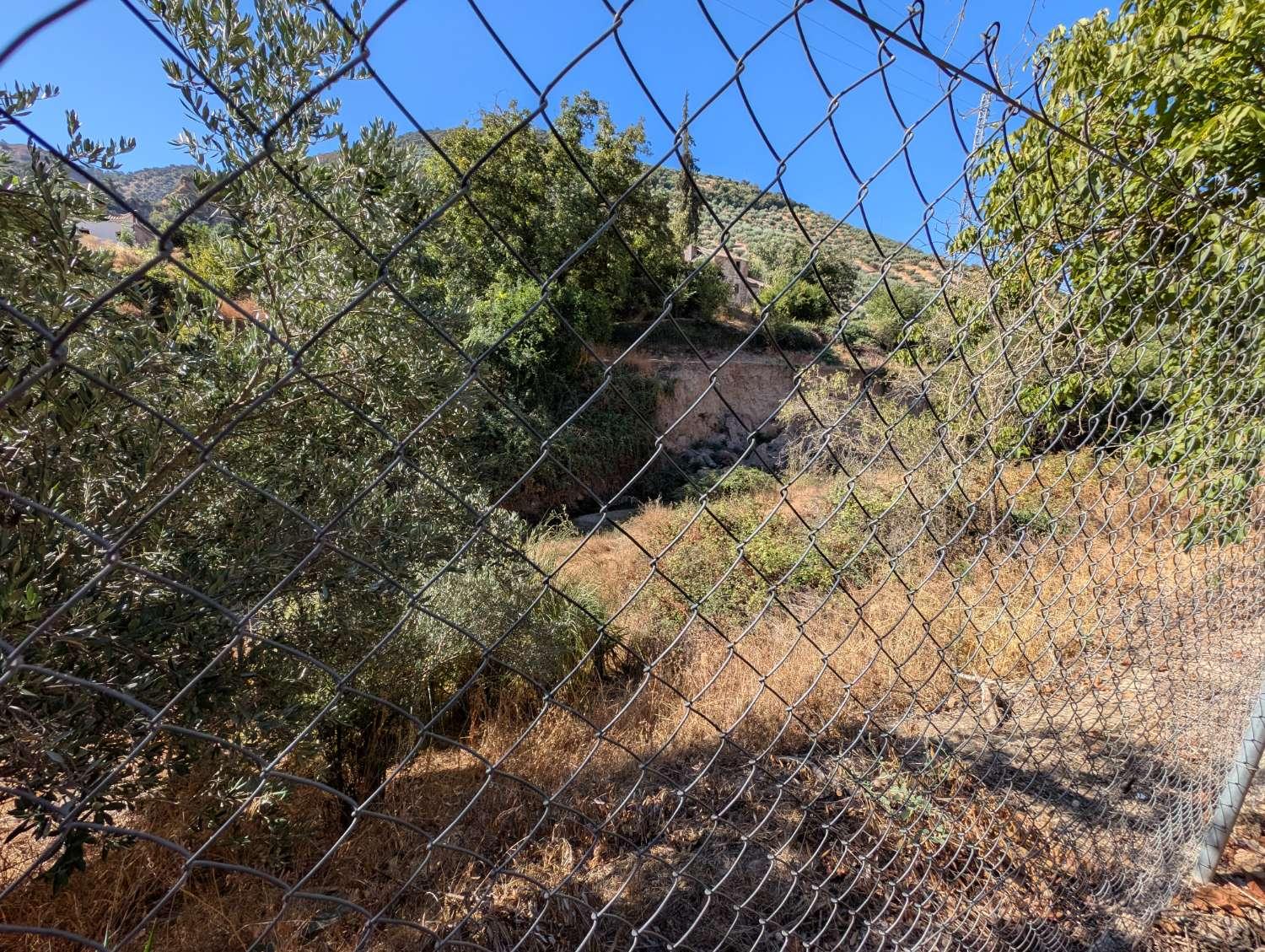 House for Sale in Algarinejo