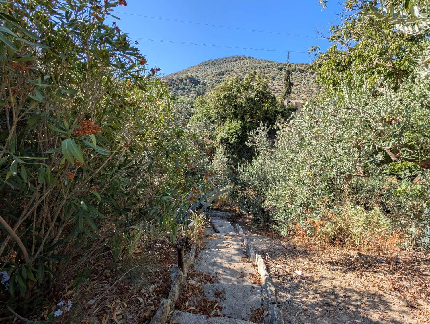 House for Sale in Algarinejo
