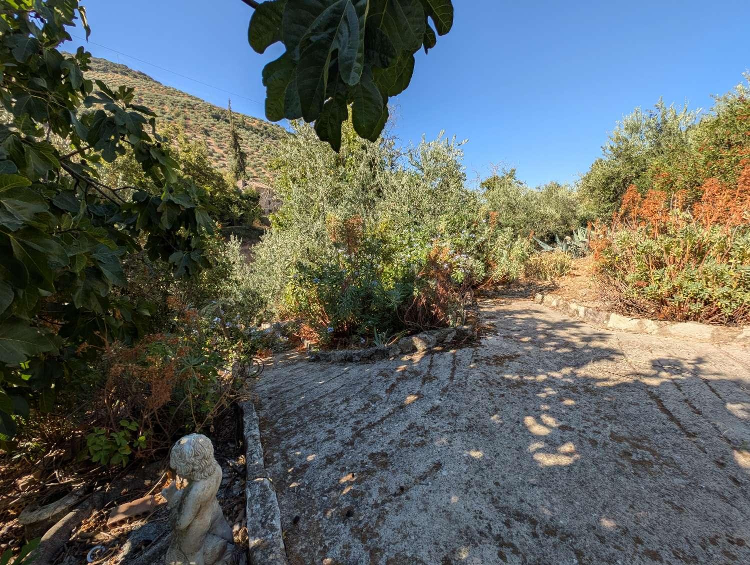 House for Sale in Algarinejo