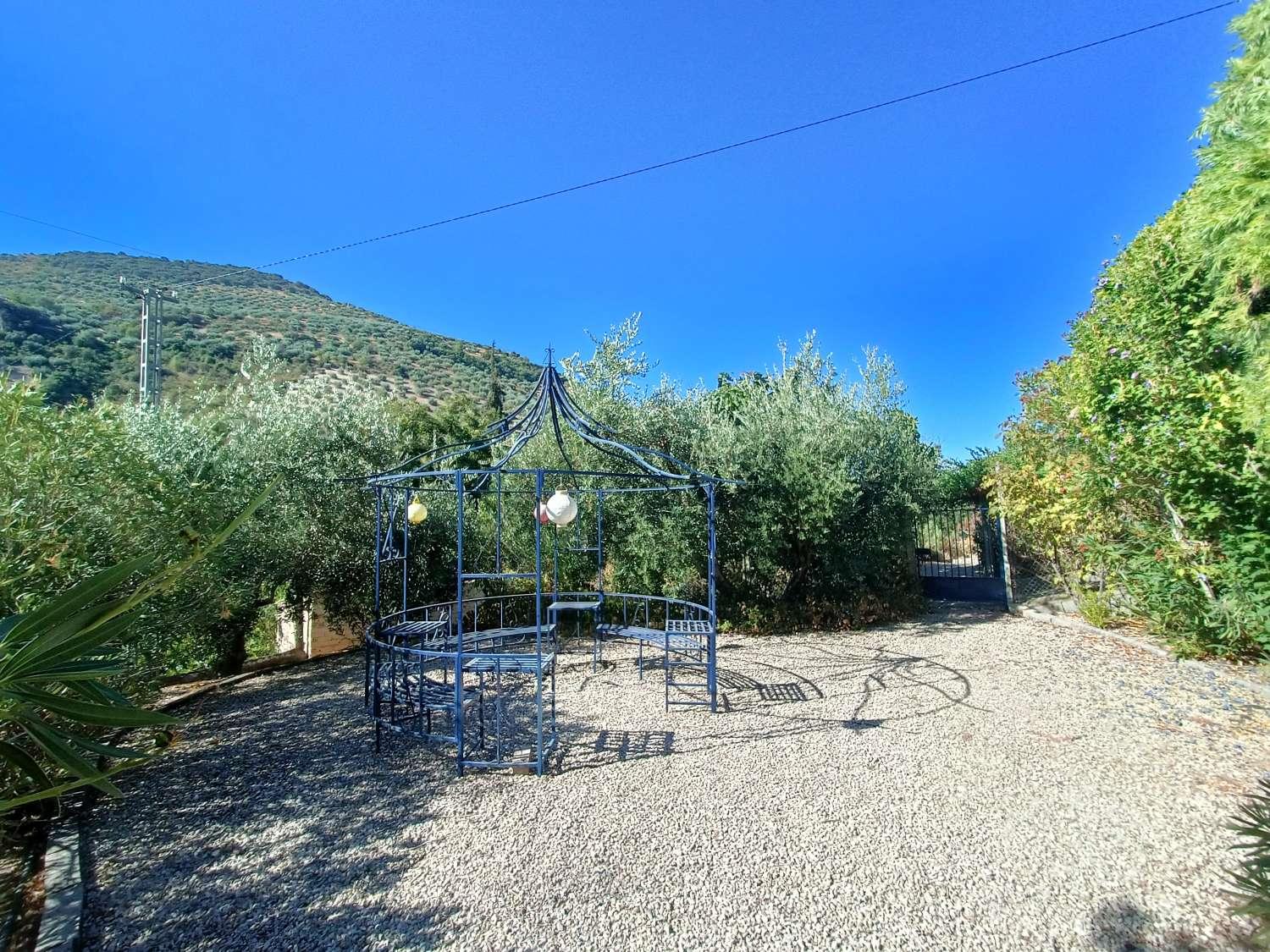 House for Sale in Algarinejo
