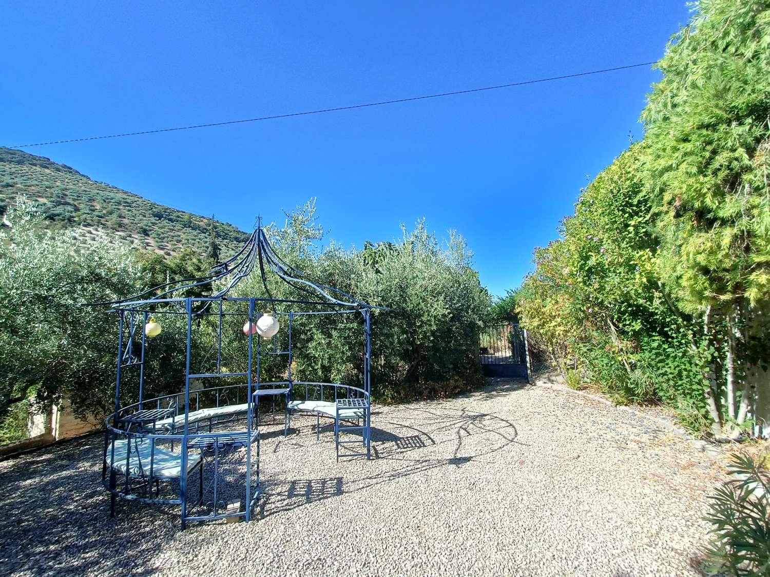 House for Sale in Algarinejo
