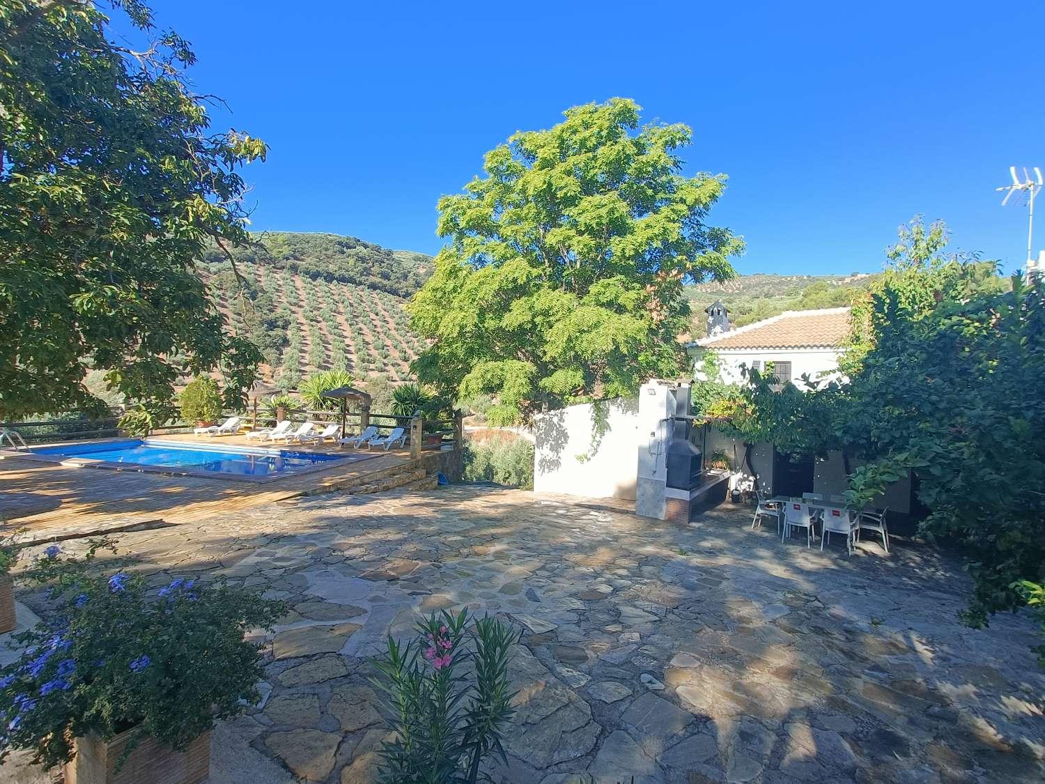 House for Sale in Montefrío