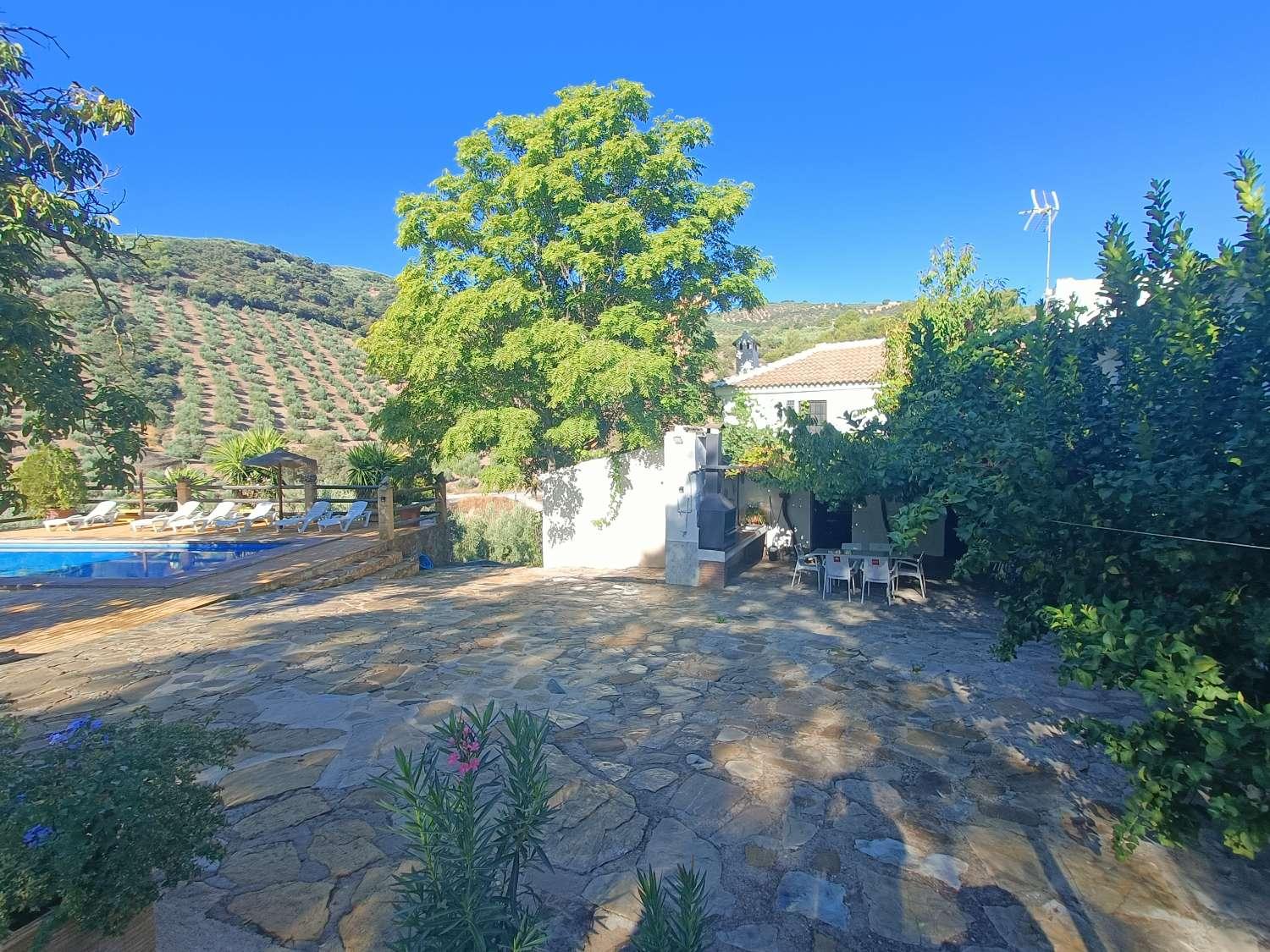 House for Sale in Montefrío