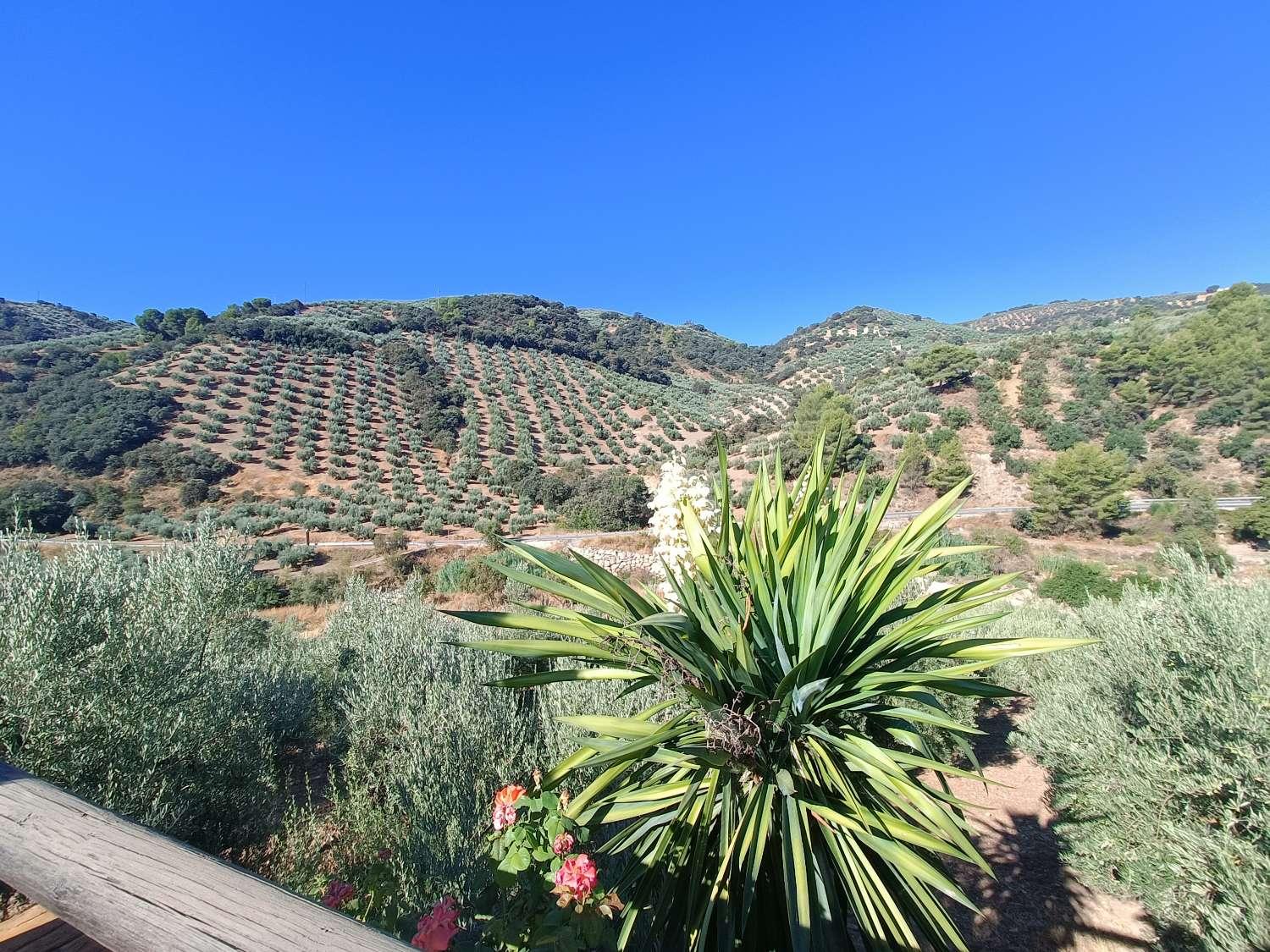 House for Sale in Montefrío