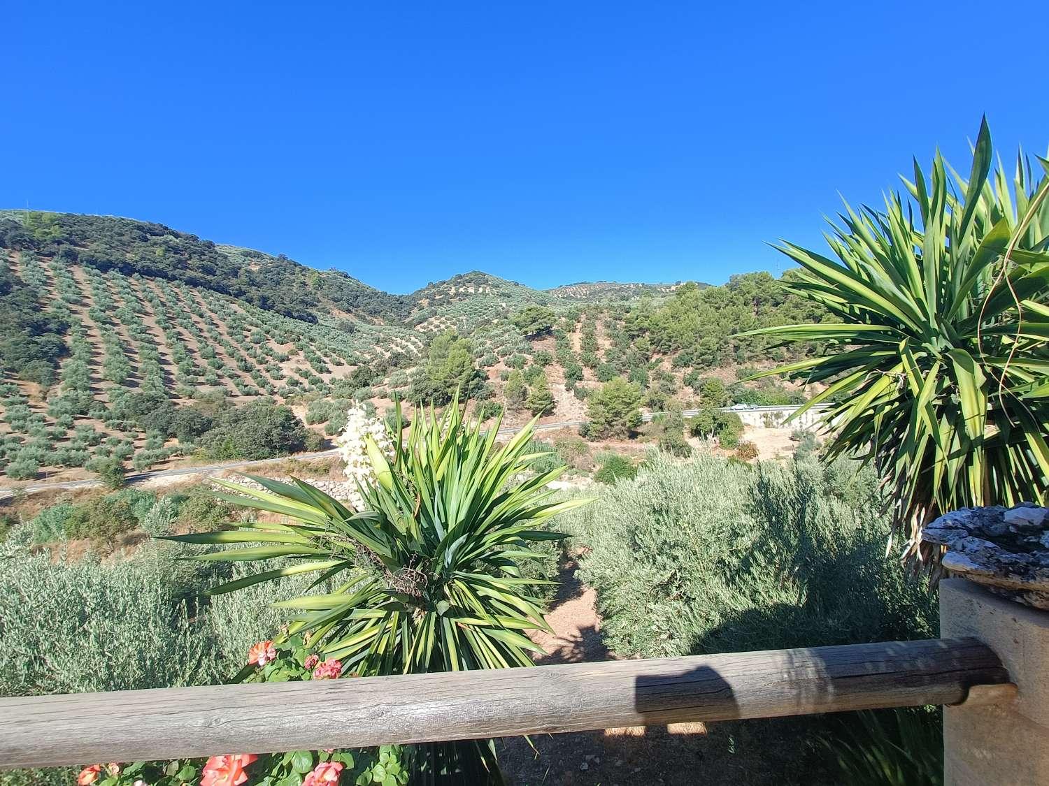 House for Sale in Montefrío