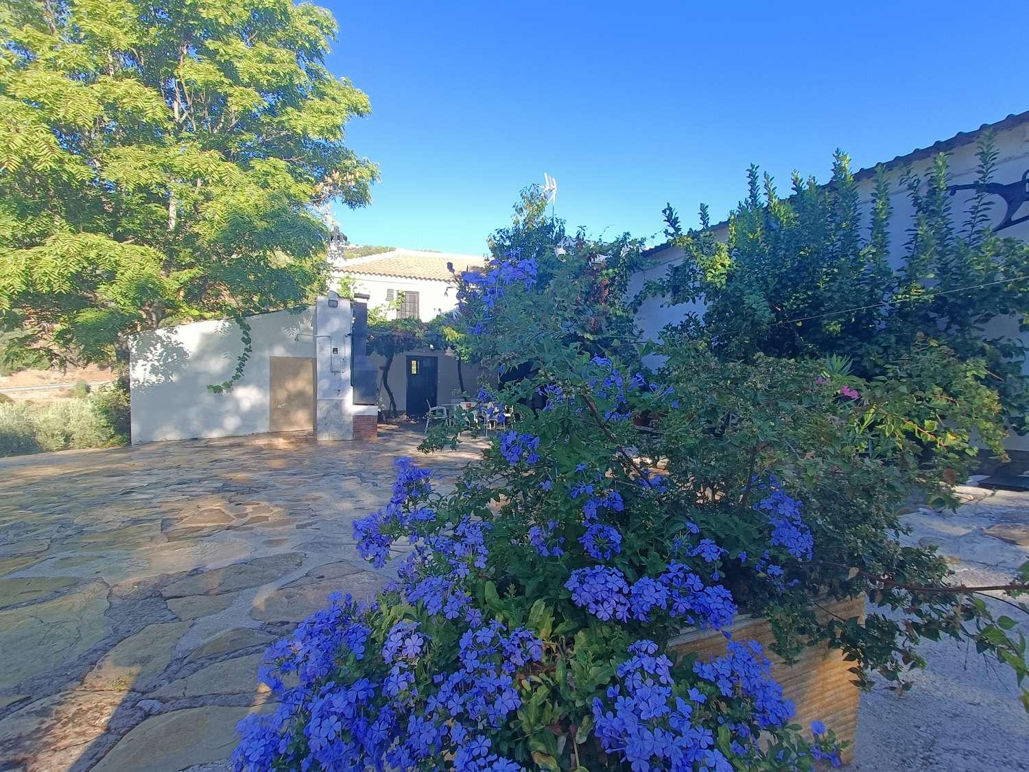 House for Sale in Montefrío