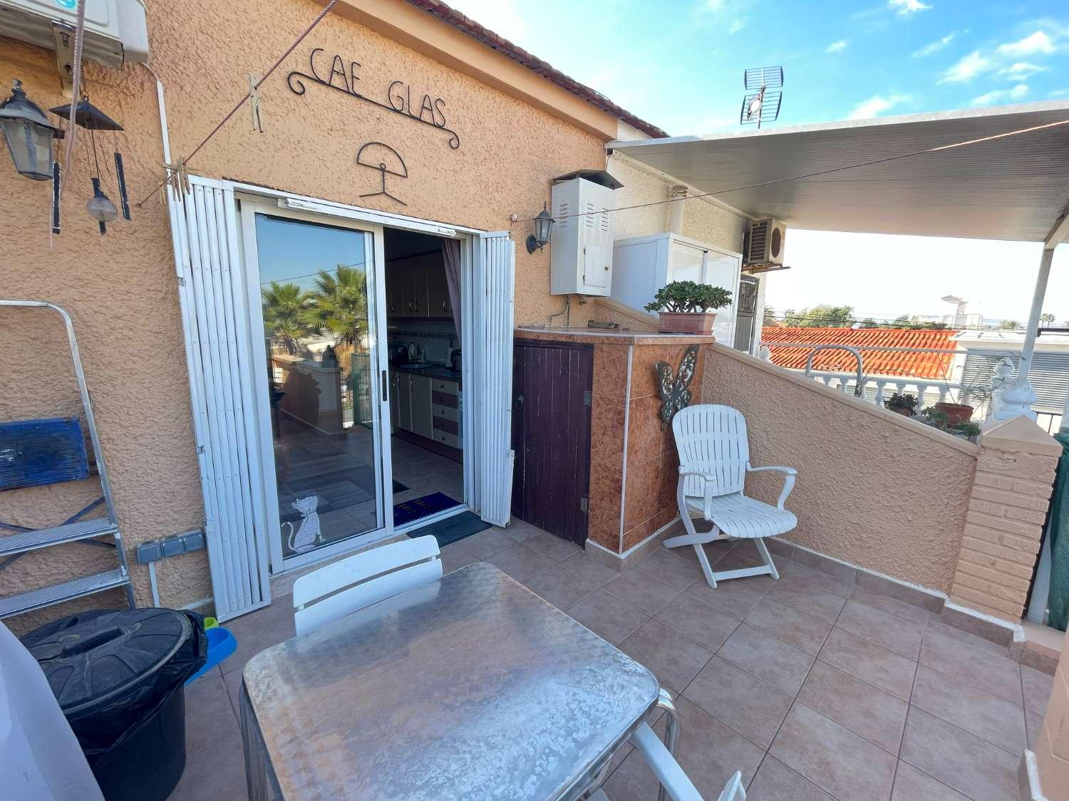 Premise for Sale in Torrevieja
