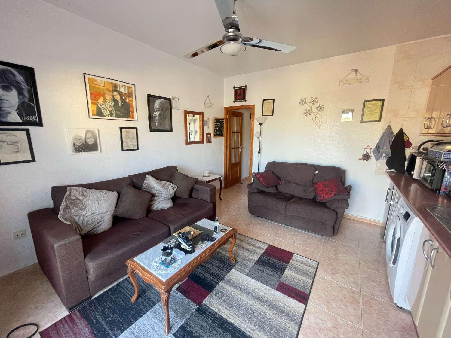Premise for Sale in Torrevieja