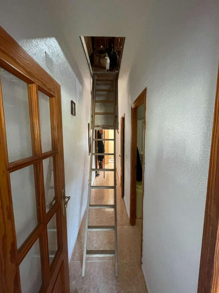 Premise for Sale in Torrevieja