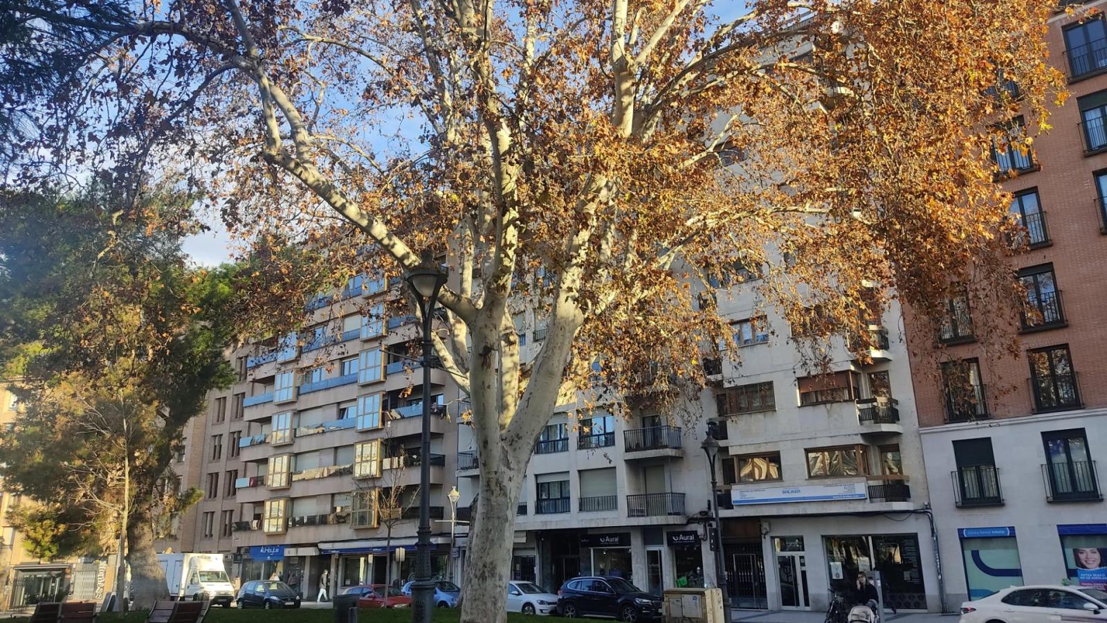 Flat for Rent in Valladolid