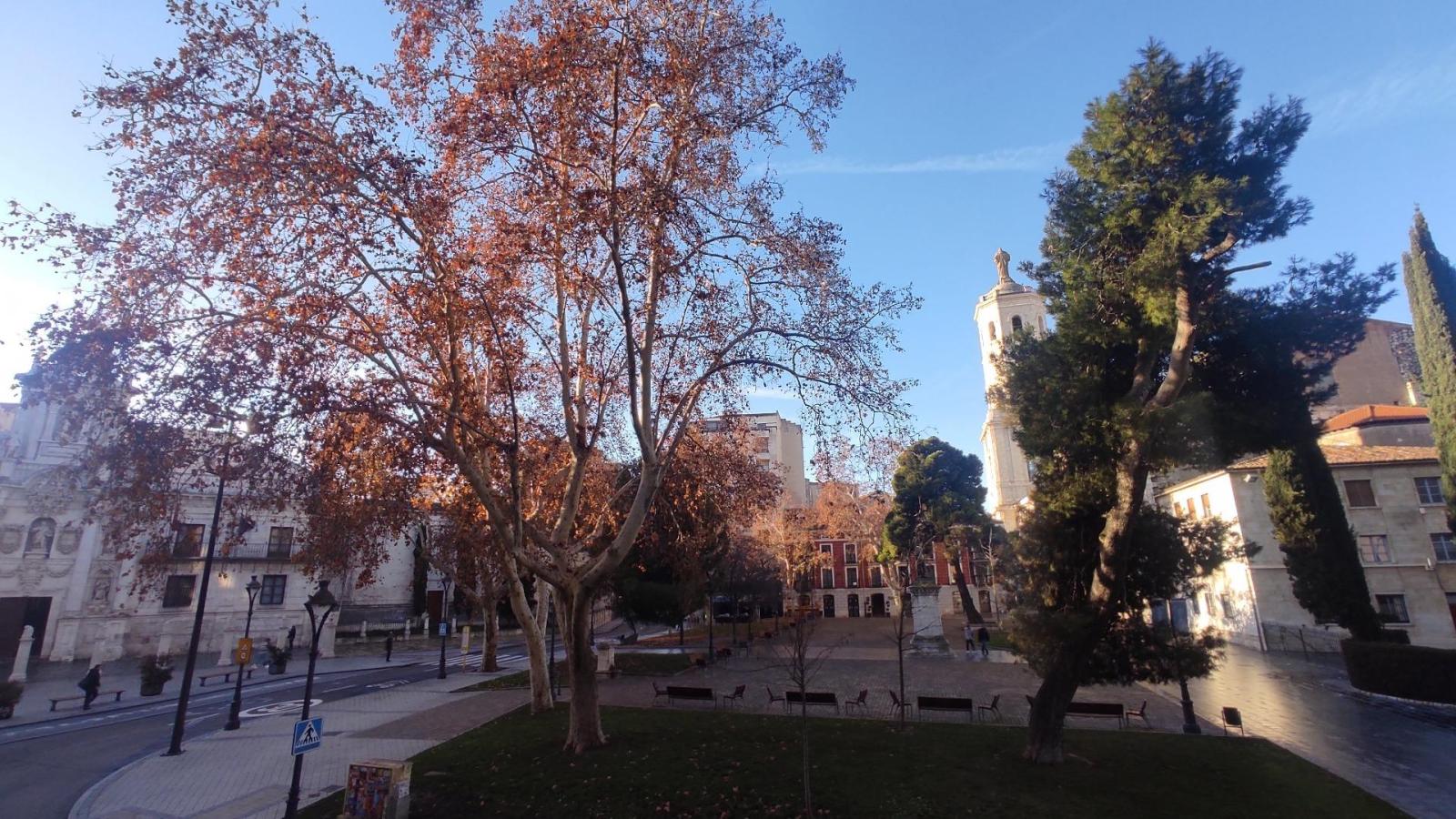 Flat for Rent in Valladolid