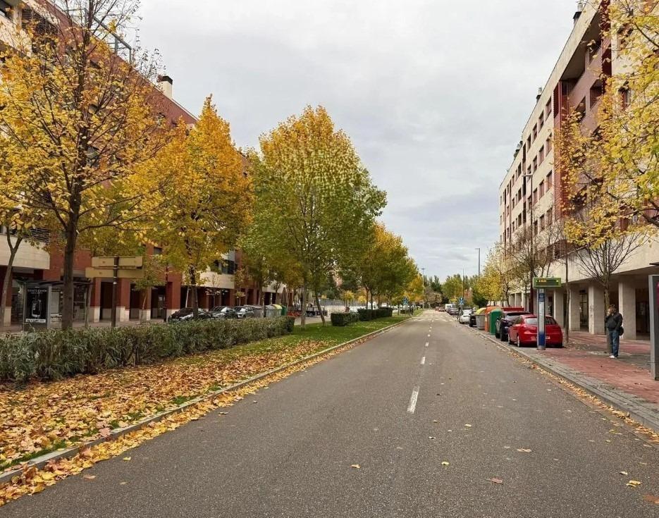 Premise for Sale in Valladolid