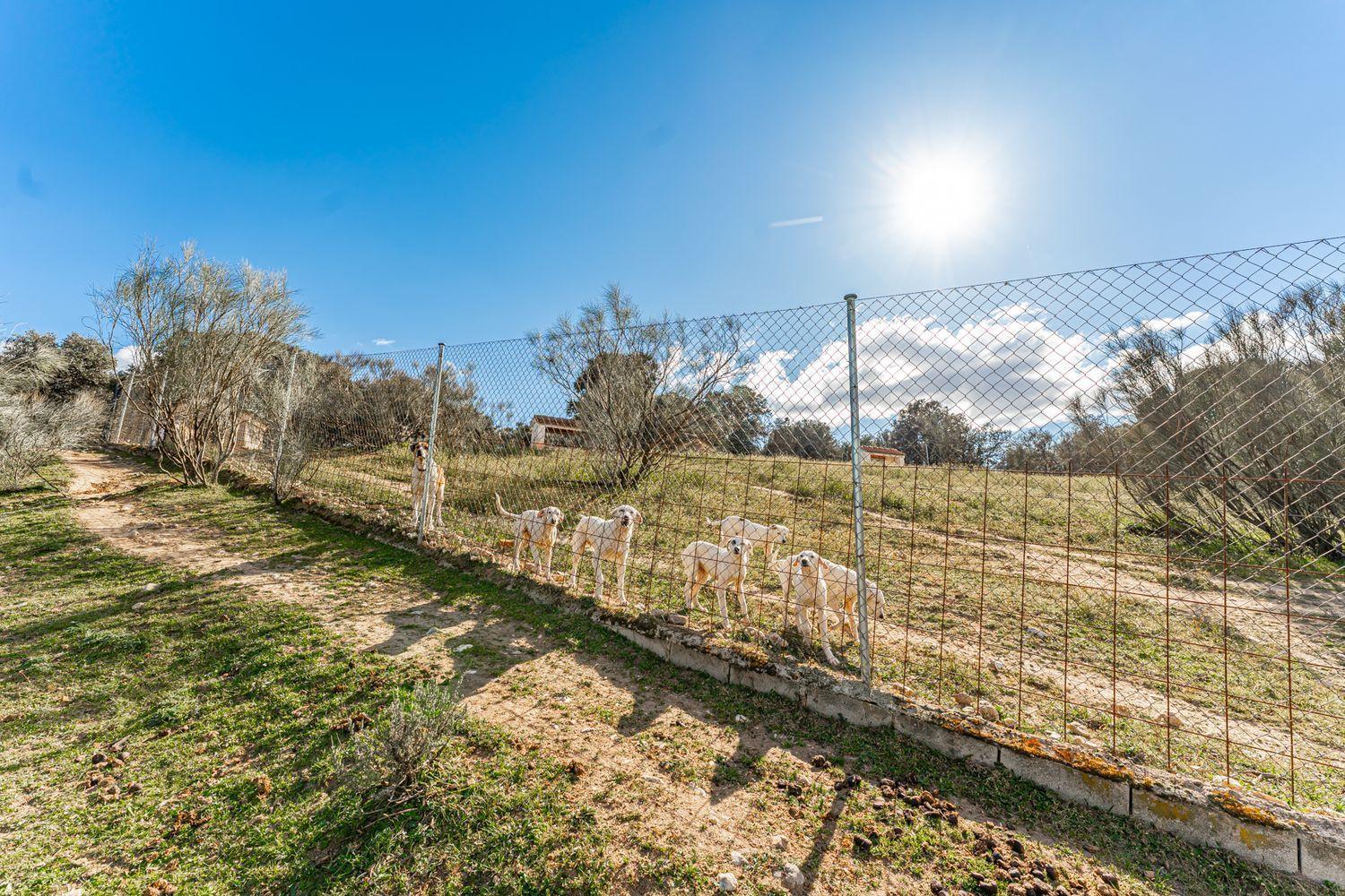 Plot for Sale in Almorox