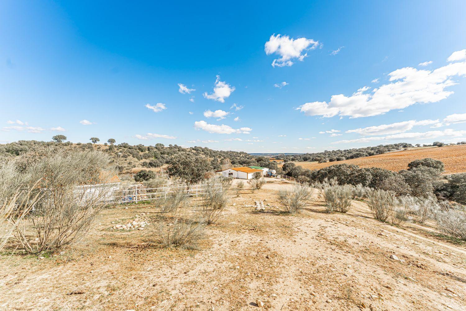 Plot for Sale in Almorox