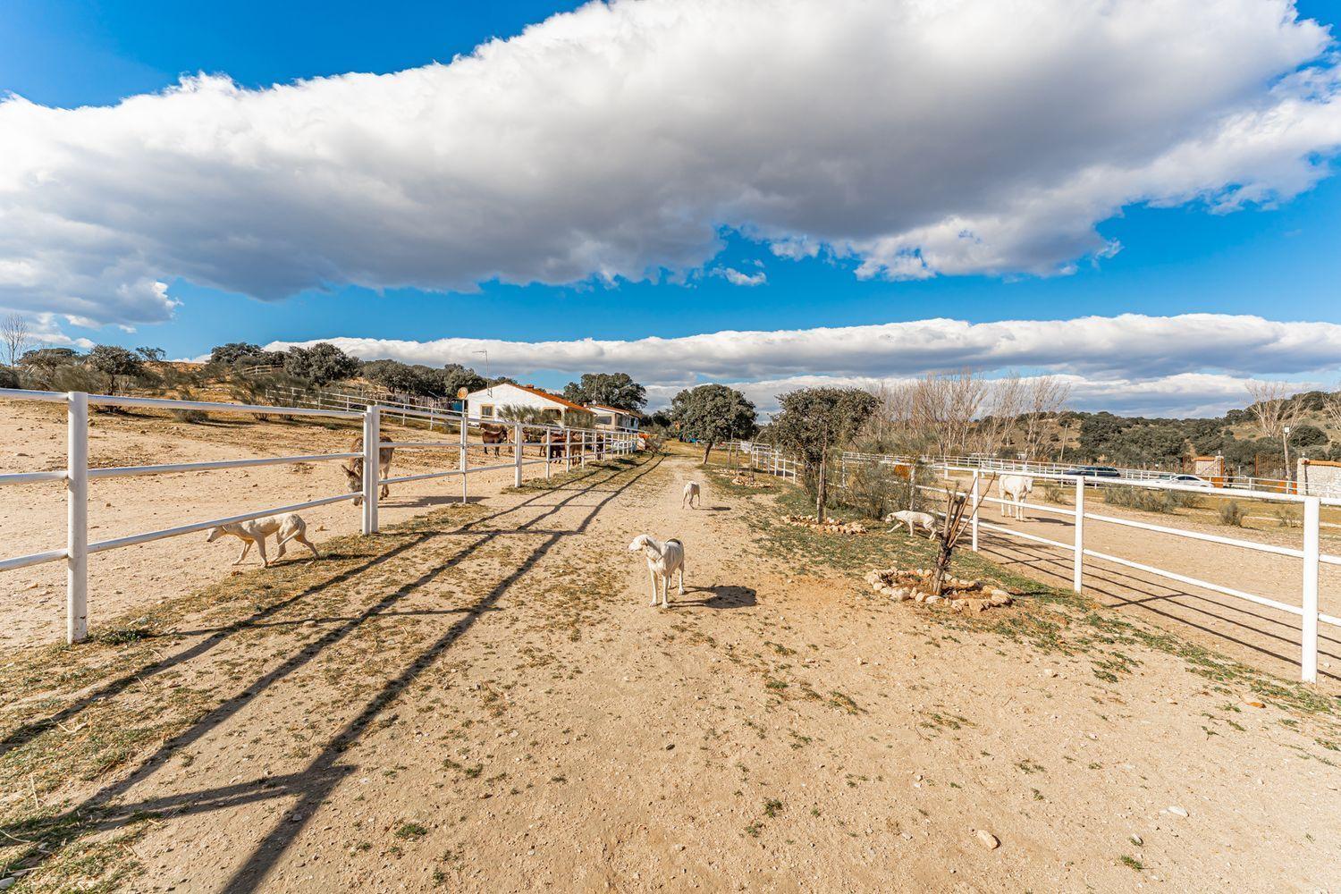 Plot for Sale in Almorox
