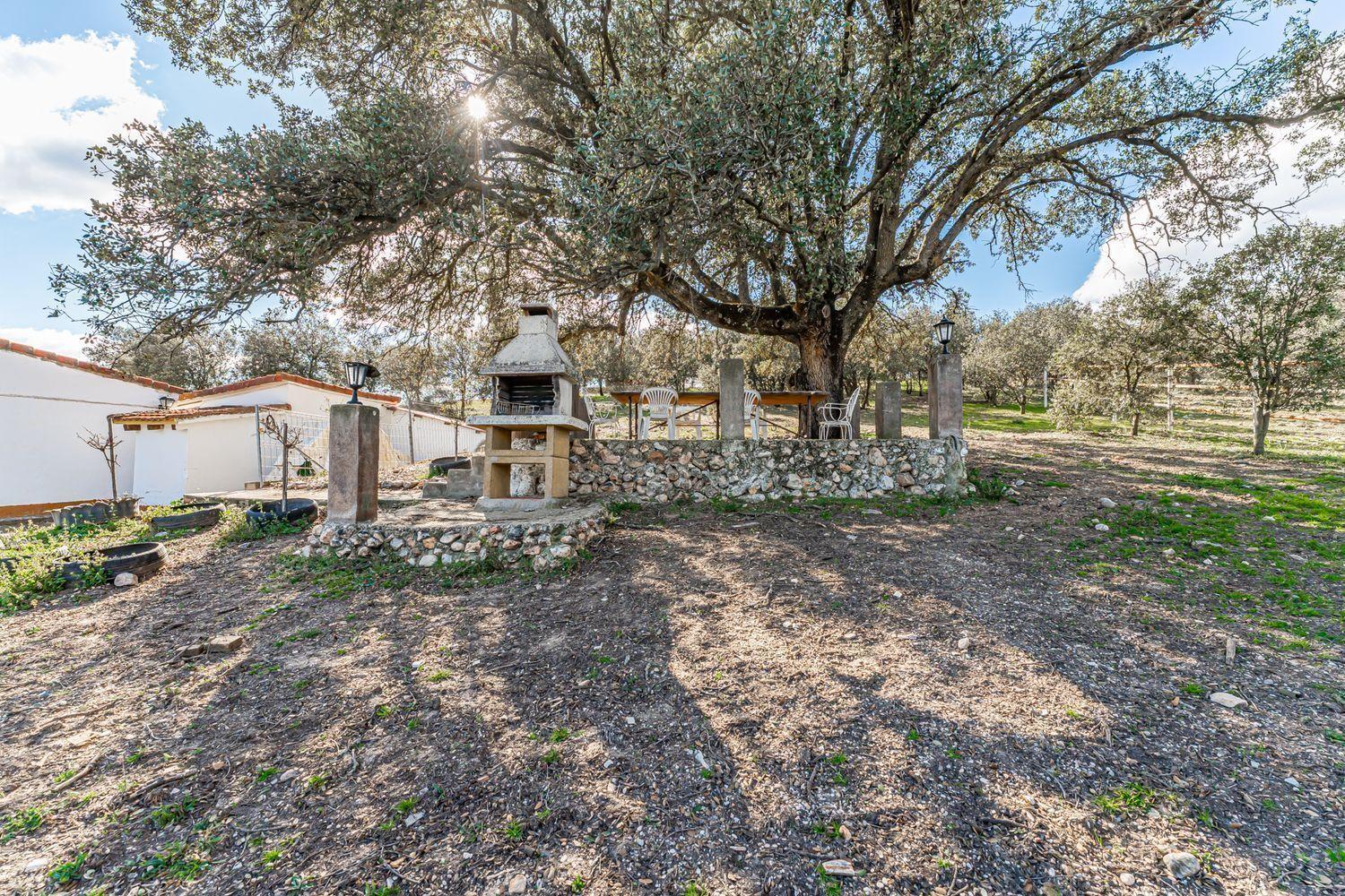 Plot for Sale in Almorox