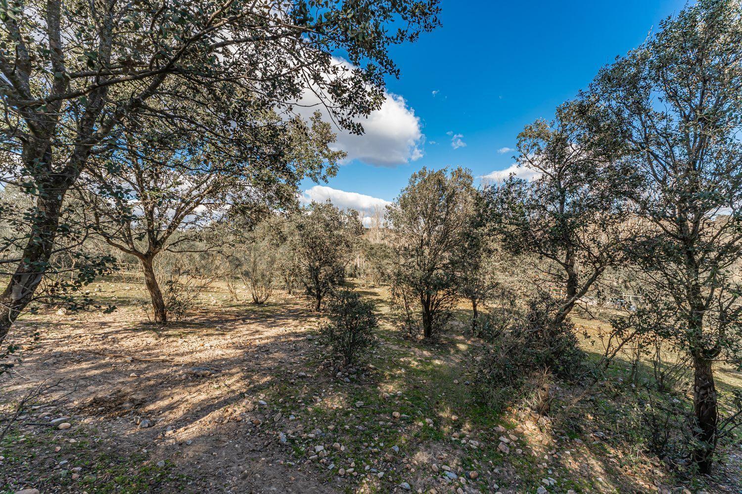 Plot for Sale in Almorox