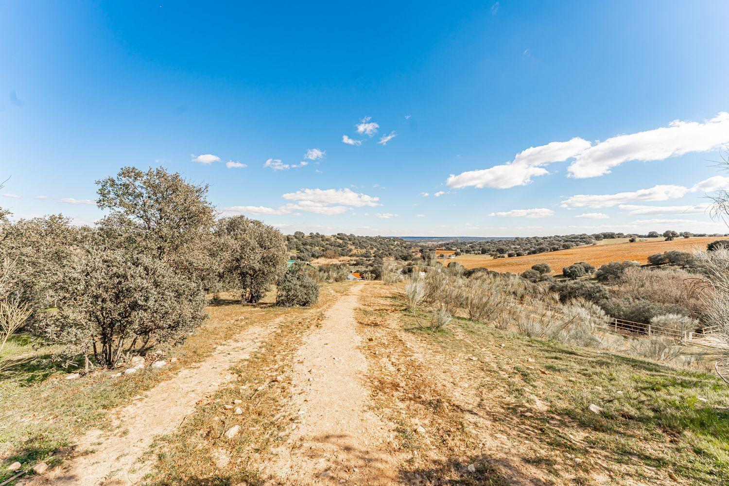 Plot for Sale in Almorox