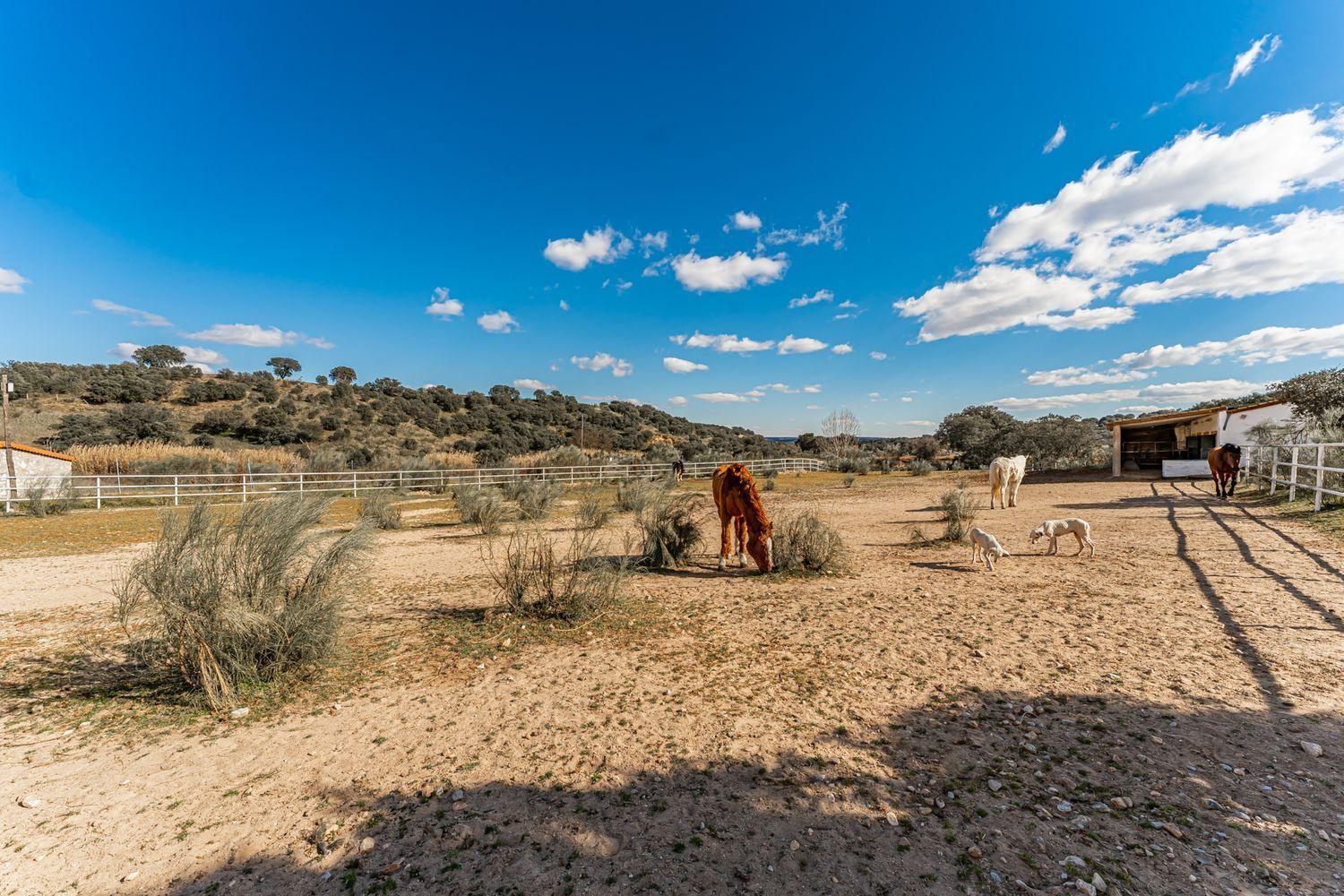 Plot for Sale in Almorox