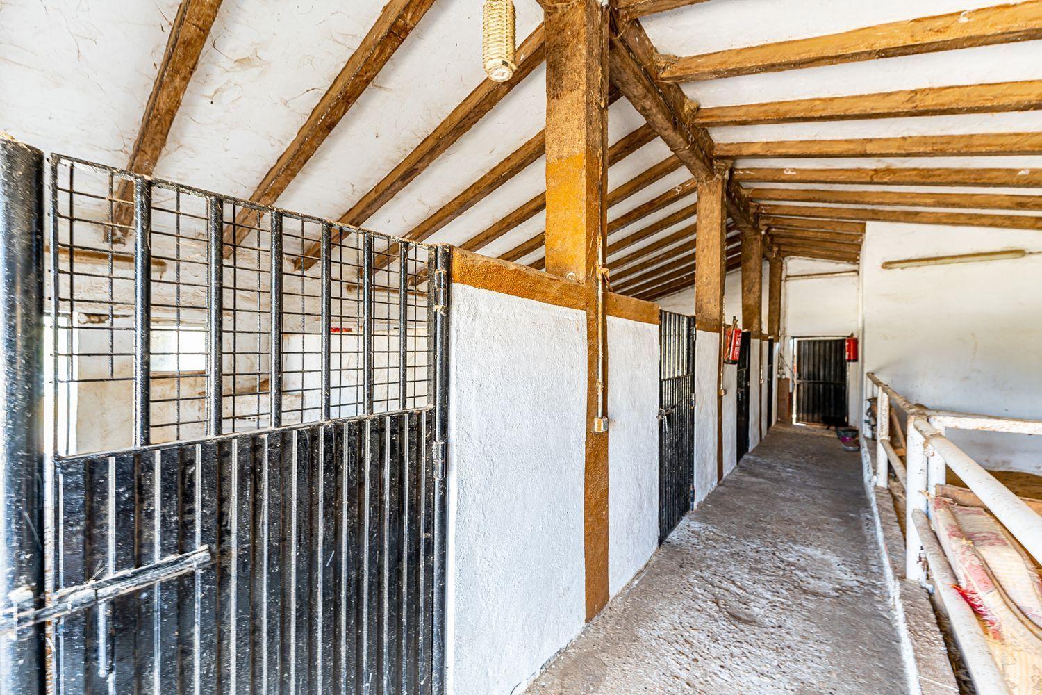 Plot for Sale in Almorox