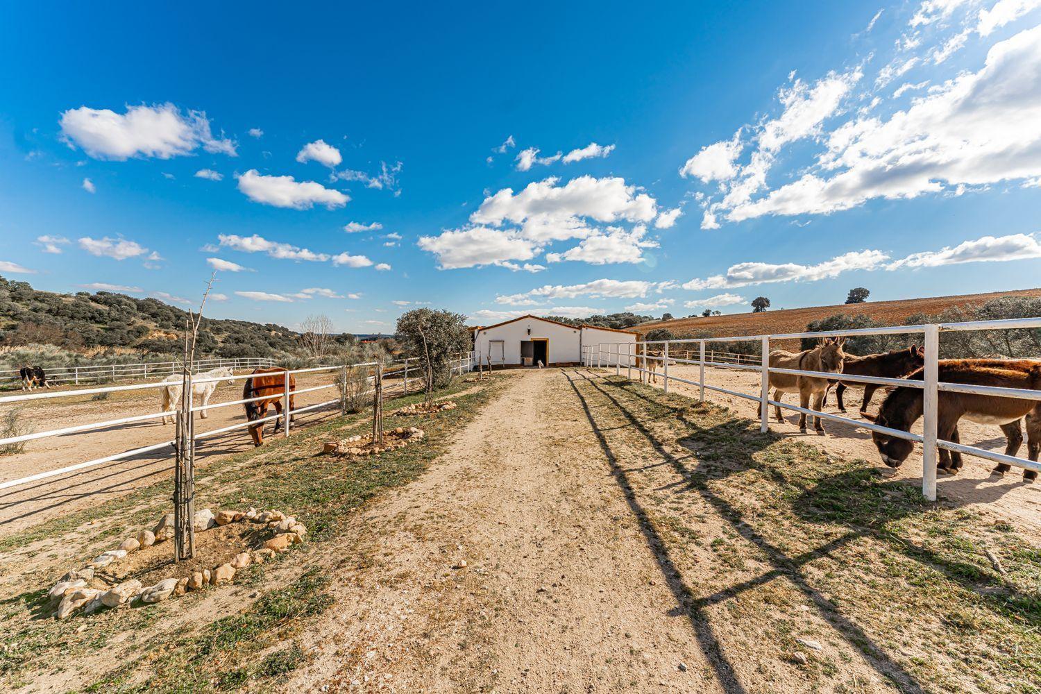 Plot for Sale in Almorox