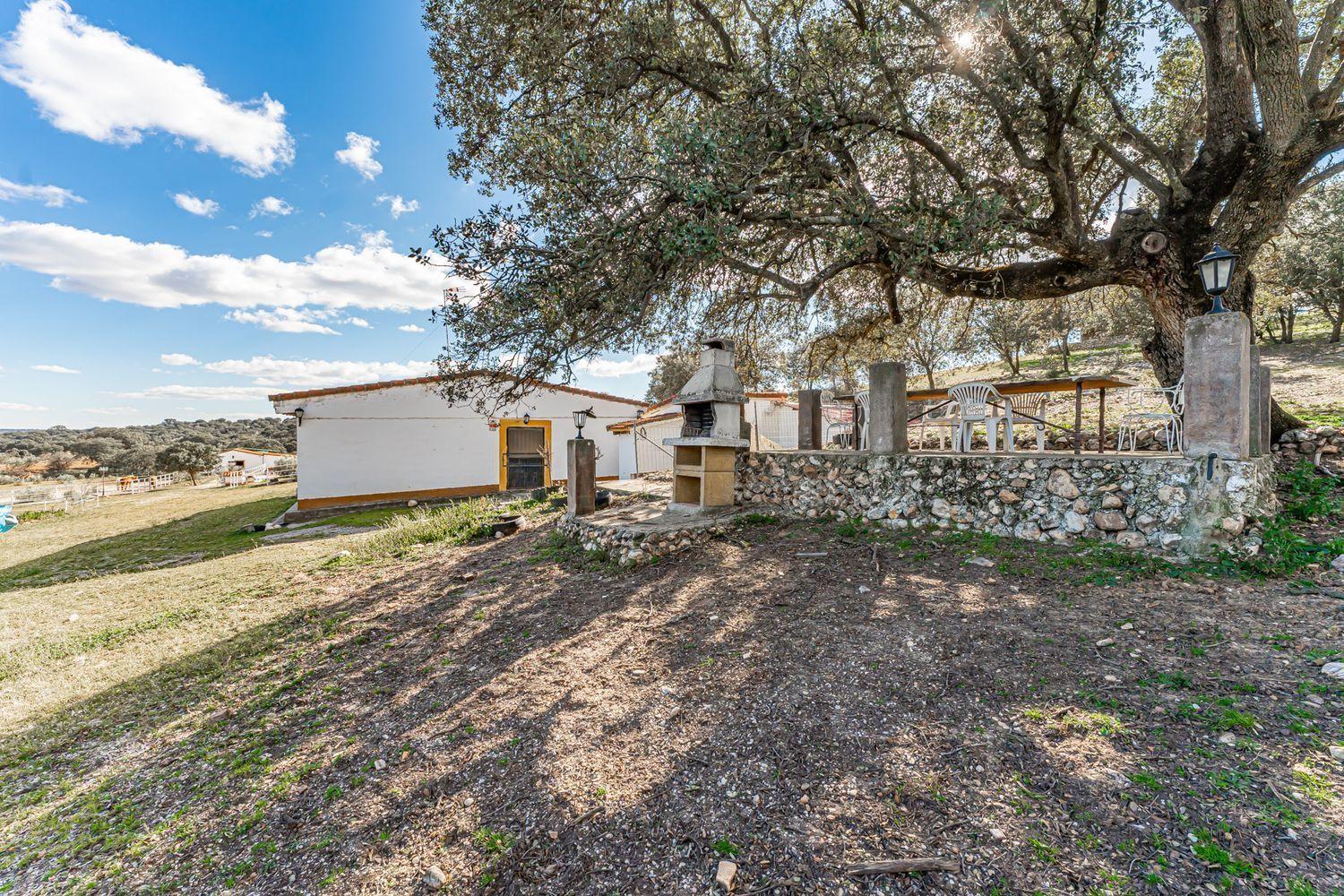 Plot for Sale in Almorox