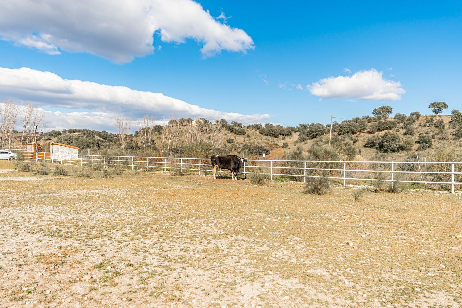 Plot for Sale in Almorox