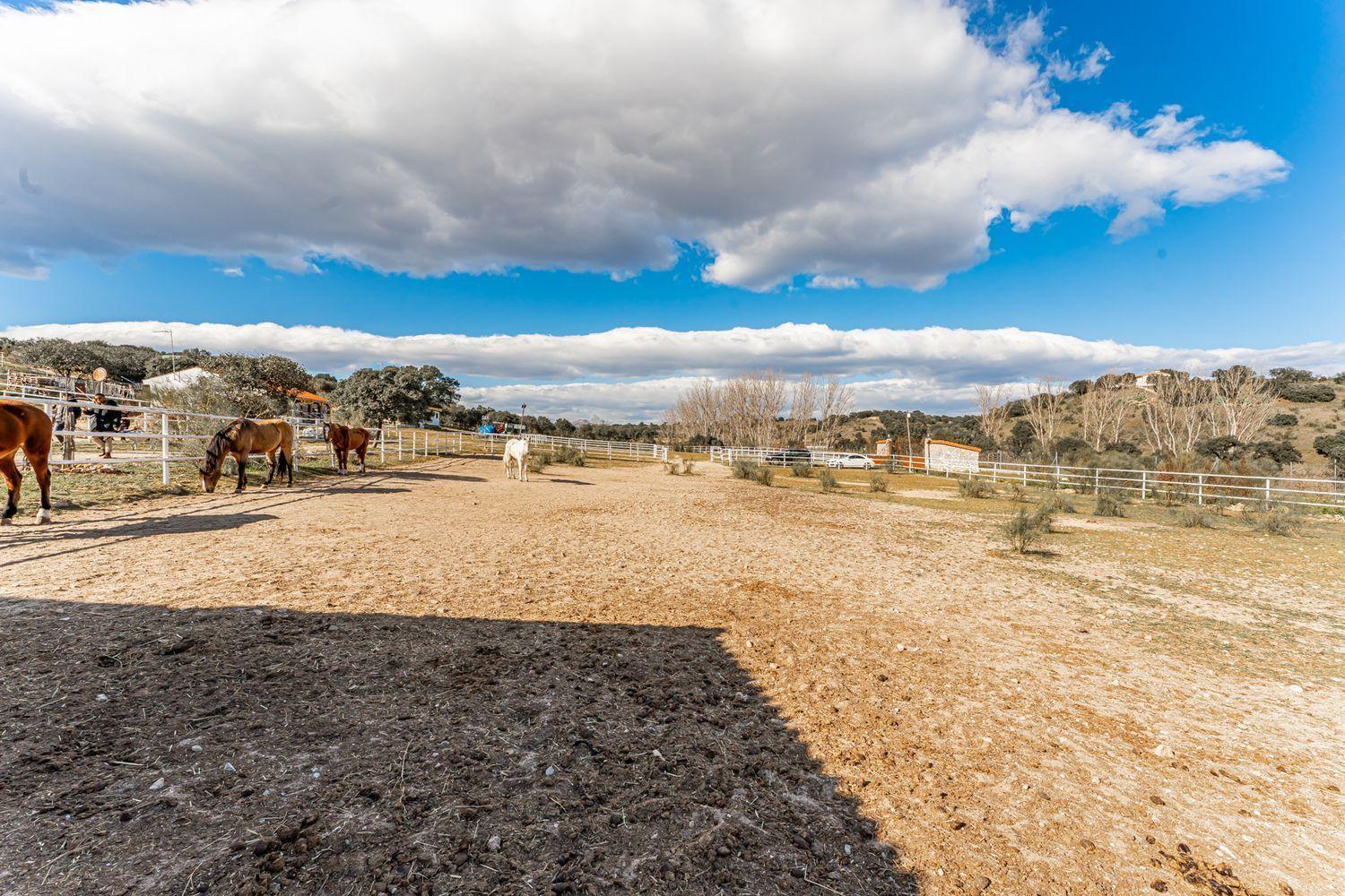 Plot for Sale in Almorox