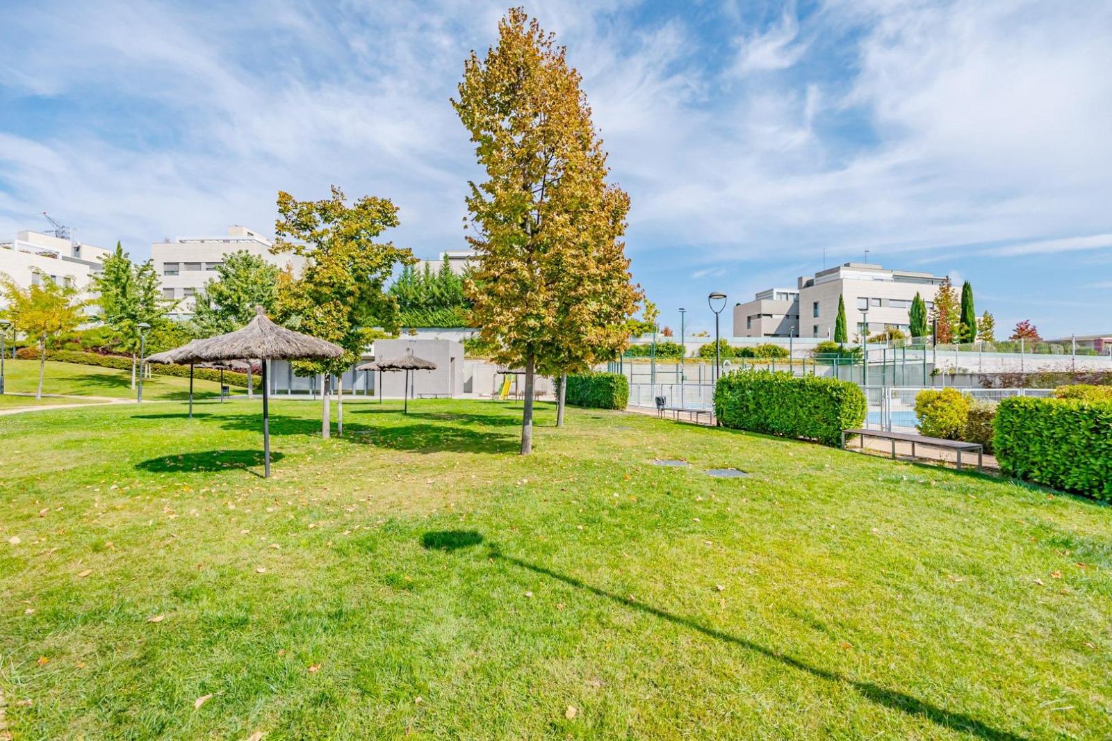 Flat for Rent in Madrid