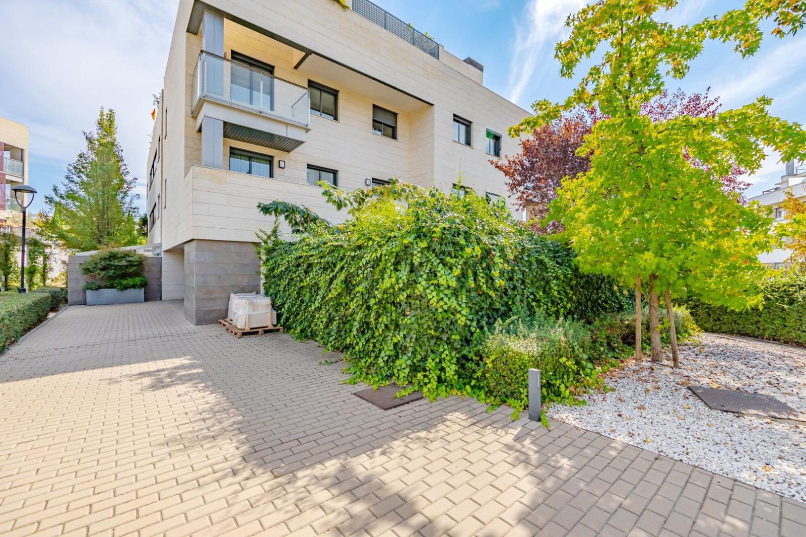Flat for Rent in Madrid