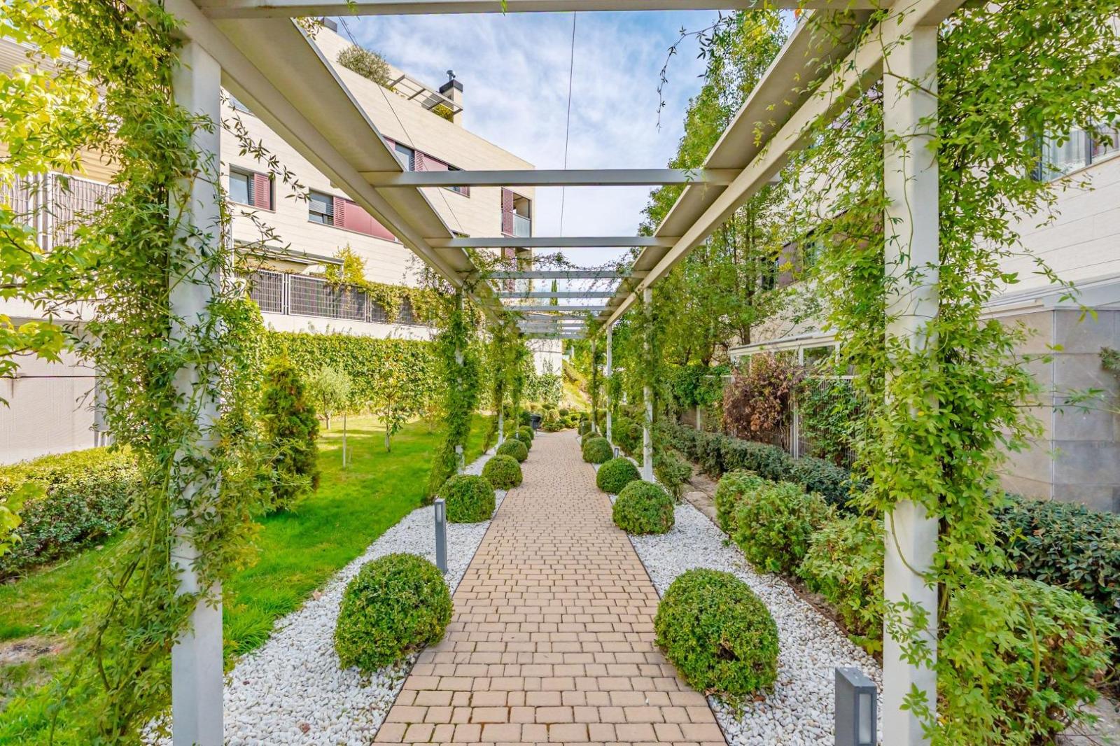 Flat for Rent in Madrid