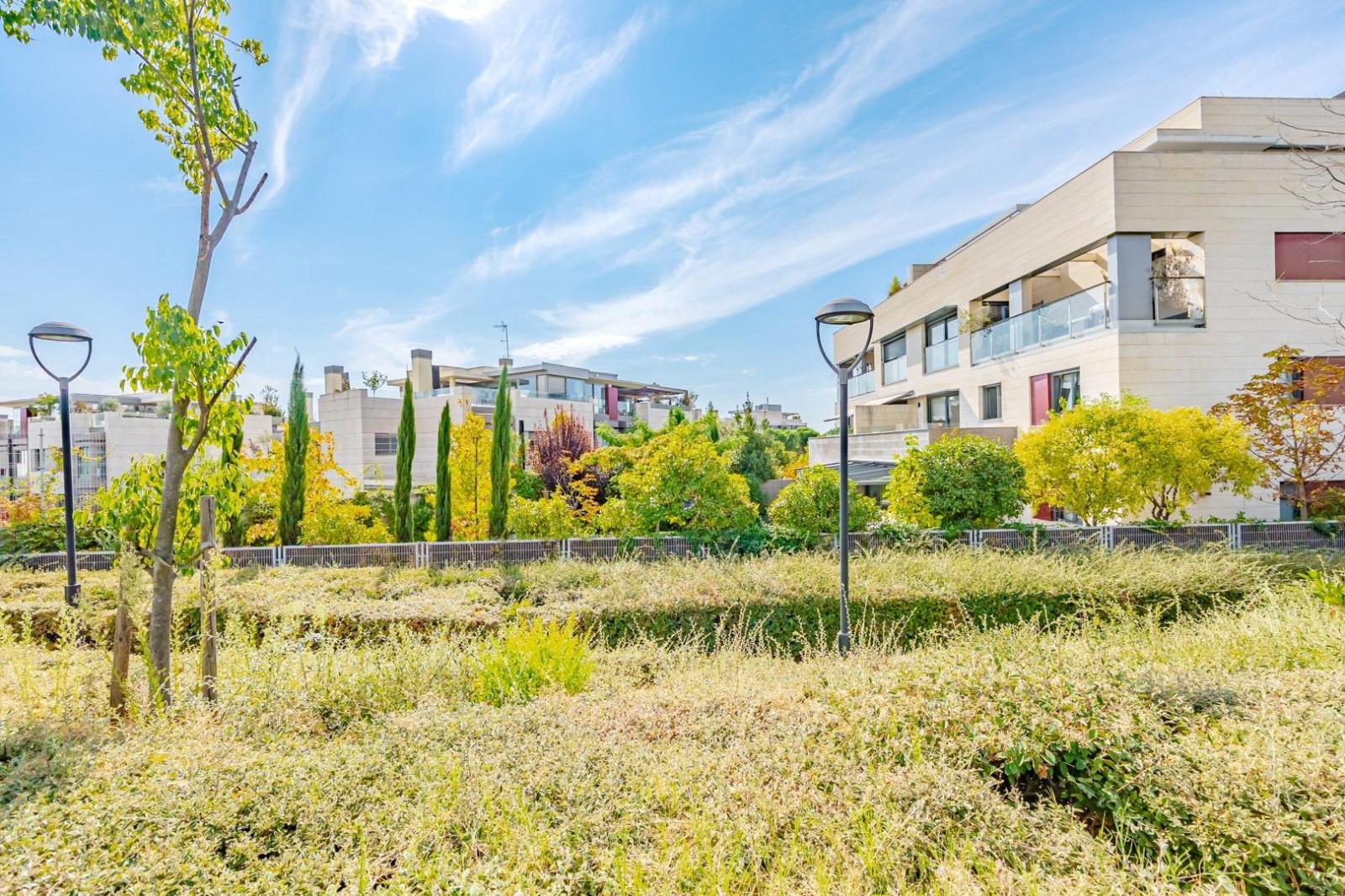 Flat for Rent in Madrid