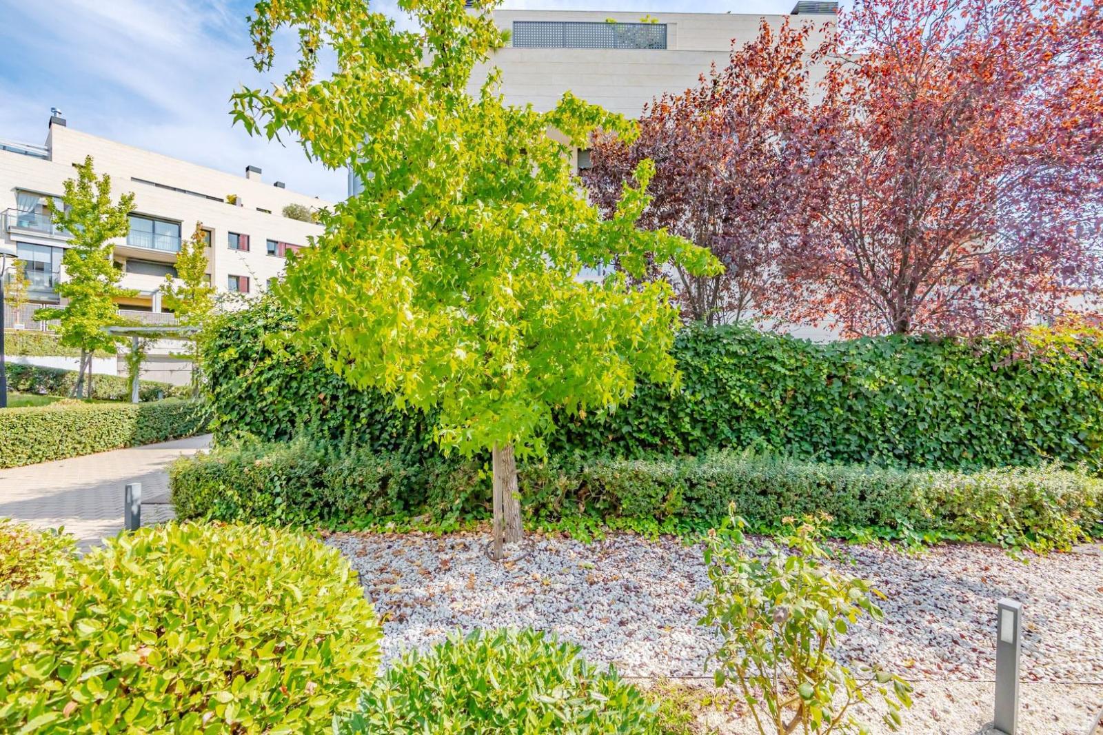 Flat for Rent in Madrid