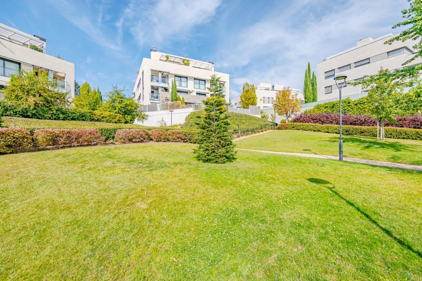 Flat for Rent in Madrid