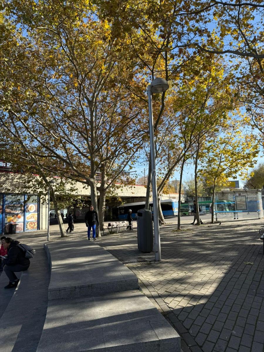 Premise for Sale in Madrid