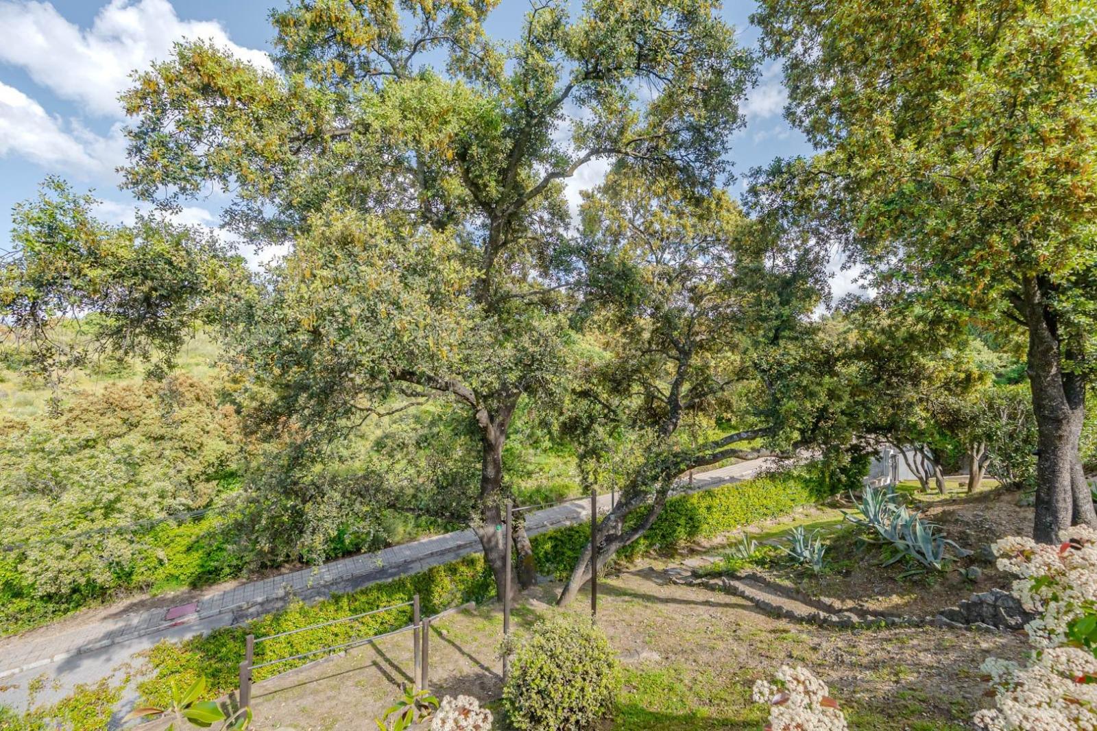 Chalet for Sale in Valdemorillo